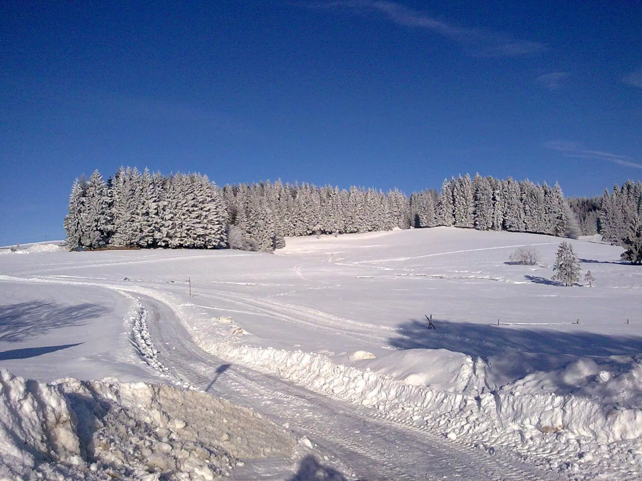 Natural landscape in ZUR TRAUBE Schwarzwaldhotel & Restaurant am Titisee