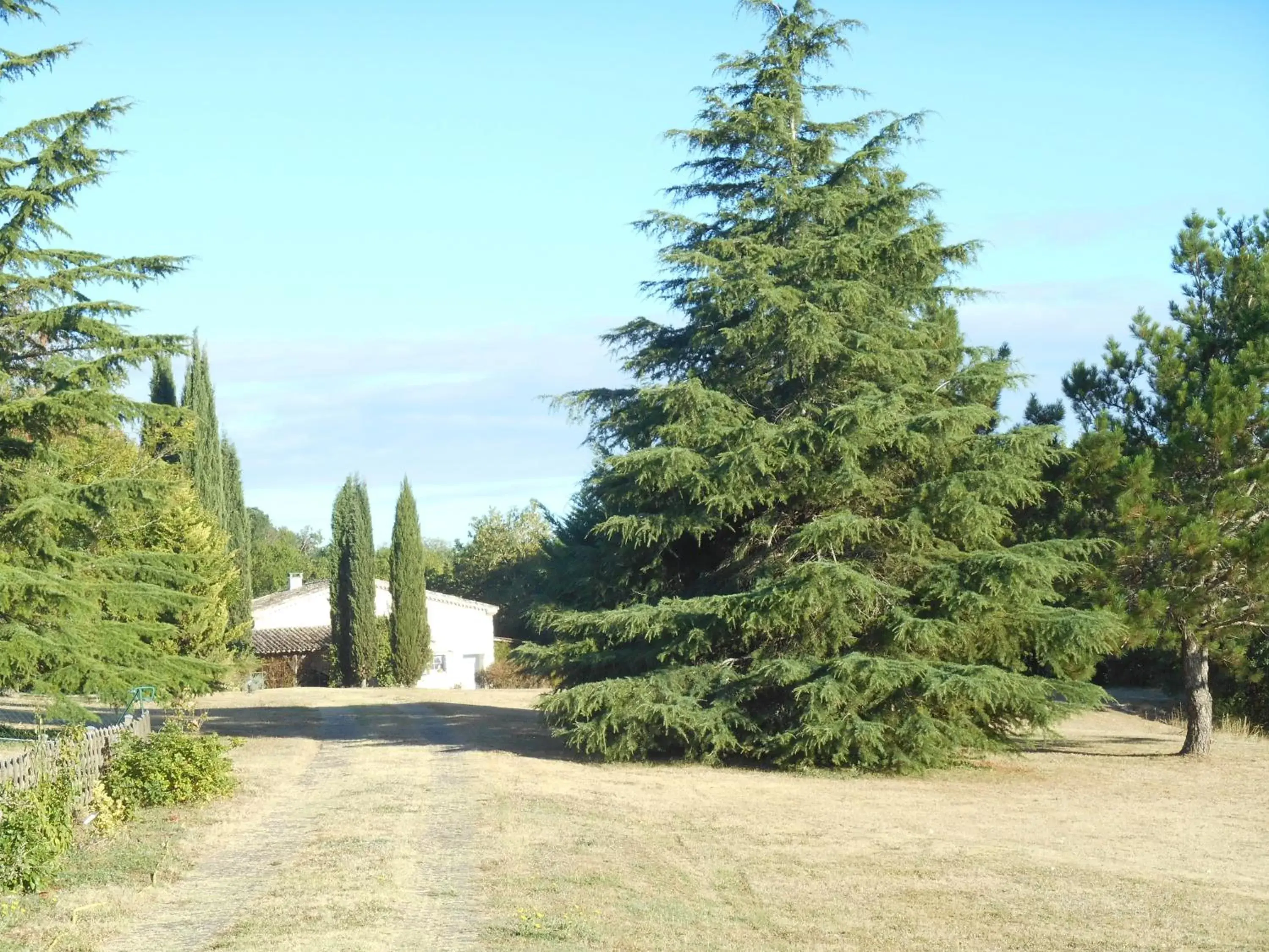 Garden in Le Colombier