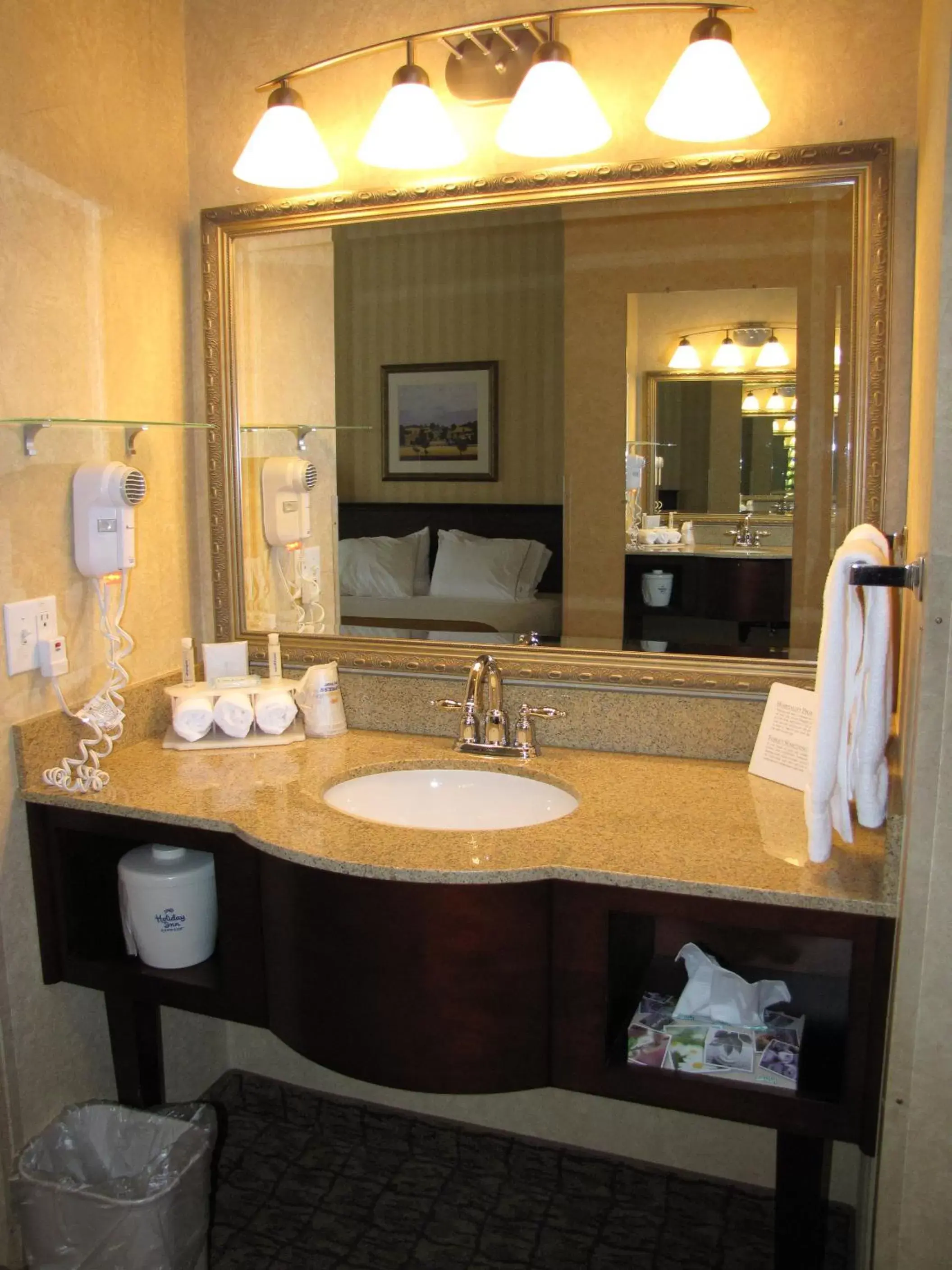 Bathroom in Holiday Inn Express Wenatchee, an IHG Hotel
