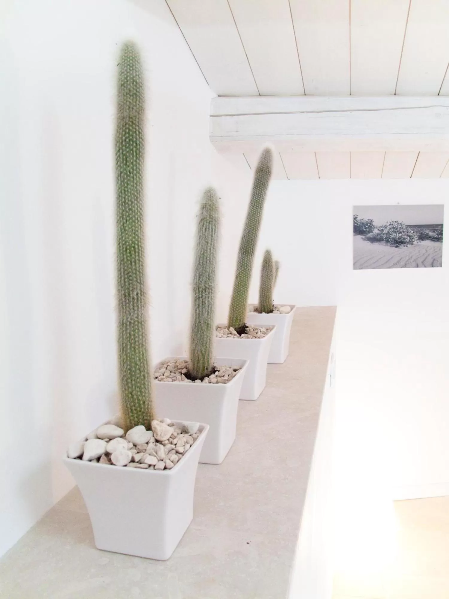 Decorative detail in Le Stanze Del Sole