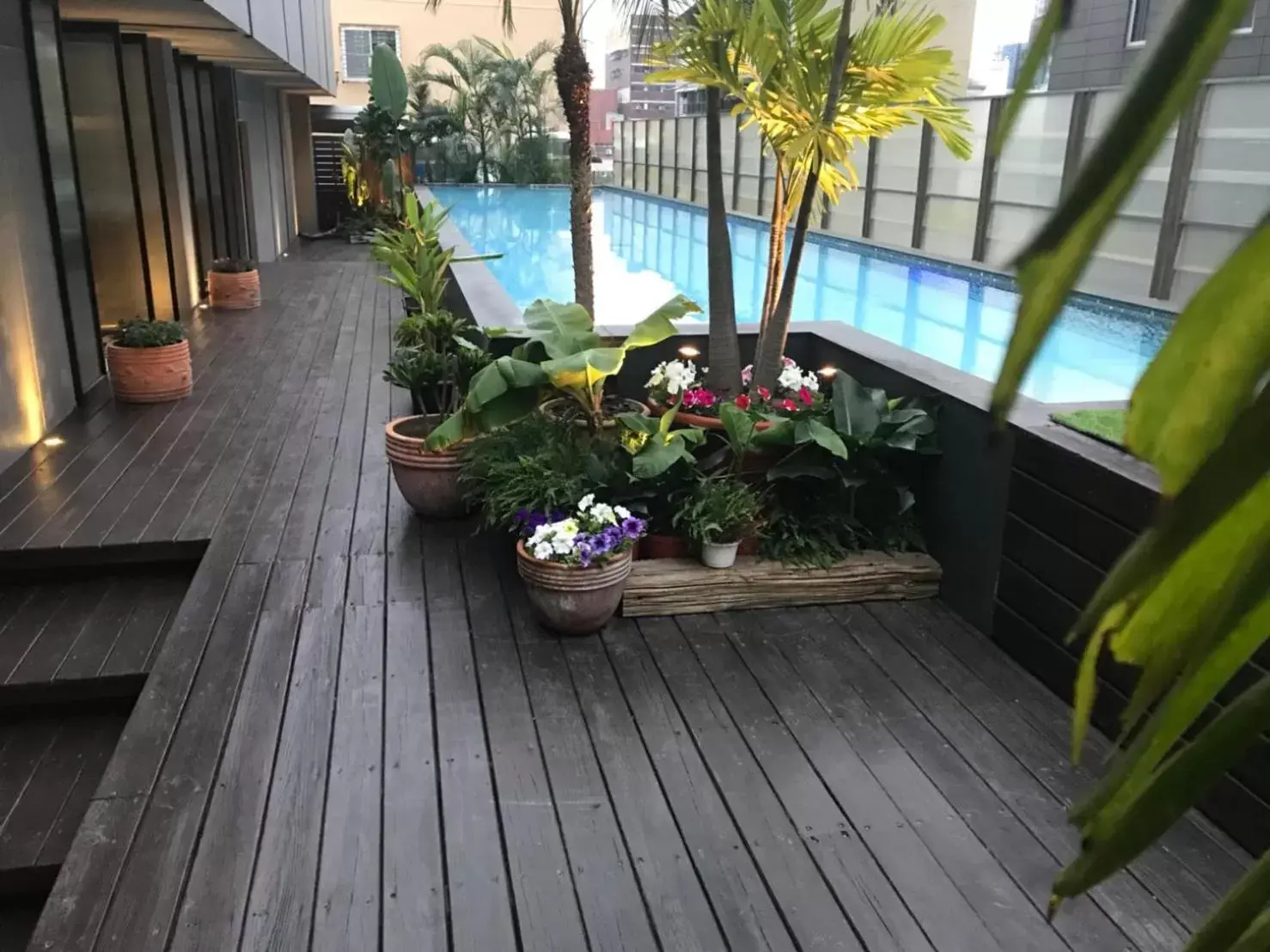 Swimming pool, Pool View in The Tree House