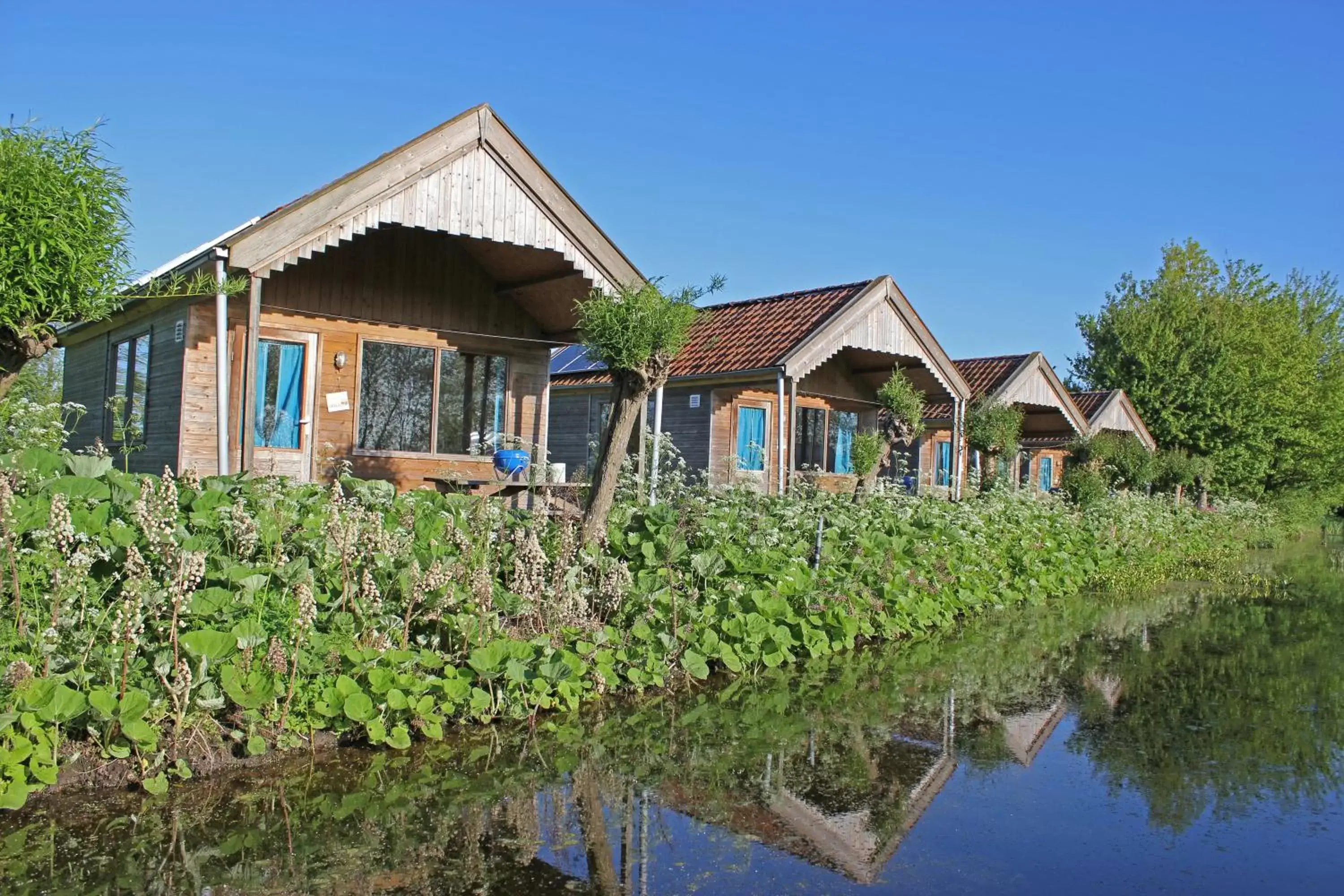 Other, Property Building in B&B Welgelegen