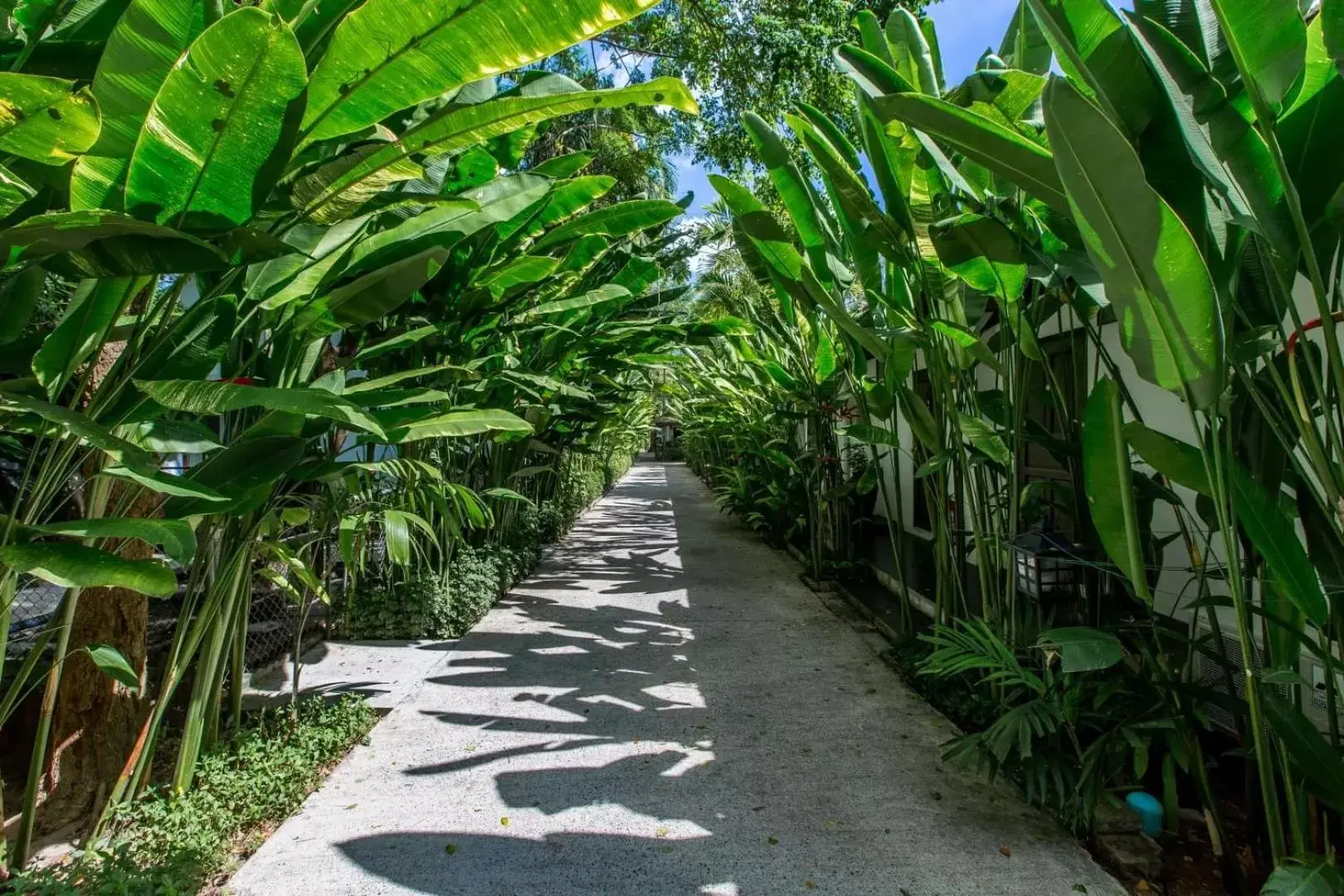 Property building in Nai Yang Beach Resort and Spa Property building in Nai Yang Beach Resort and Spa