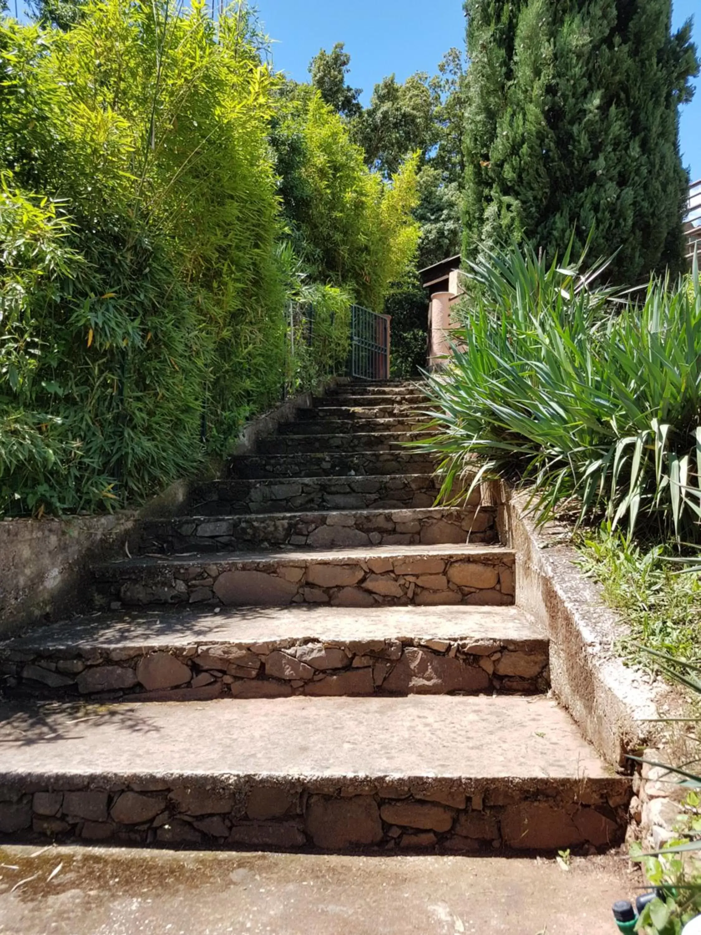 Garden in Le Mas du Lingousto