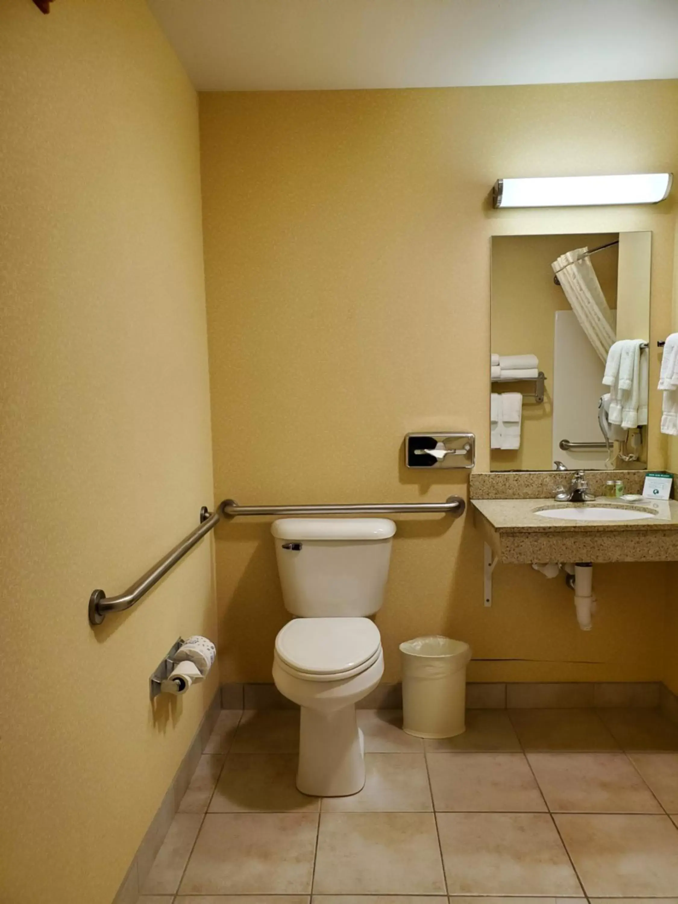 Toilet, Bathroom in Boarders Inn & Suites by Cobblestone Hotels - Shawano