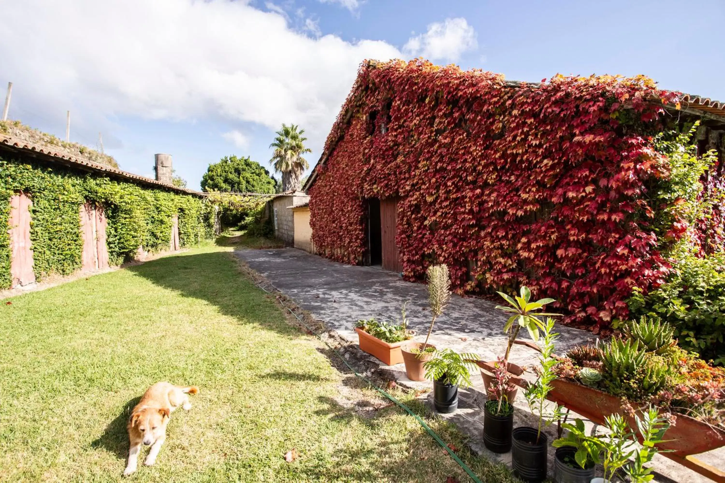 Garden, Property Building in Casa da Várzea