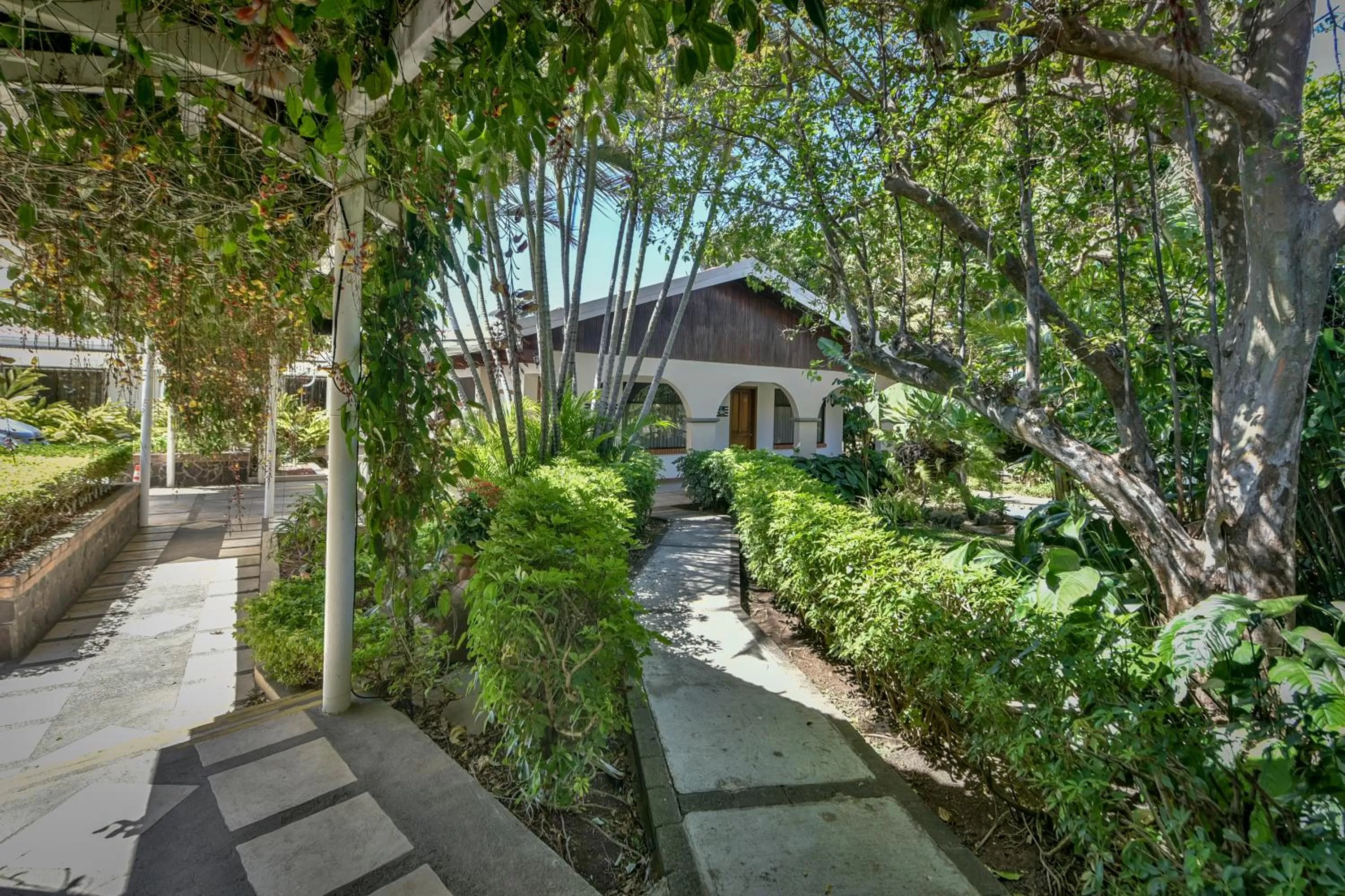 Garden in La Riviera Hotel