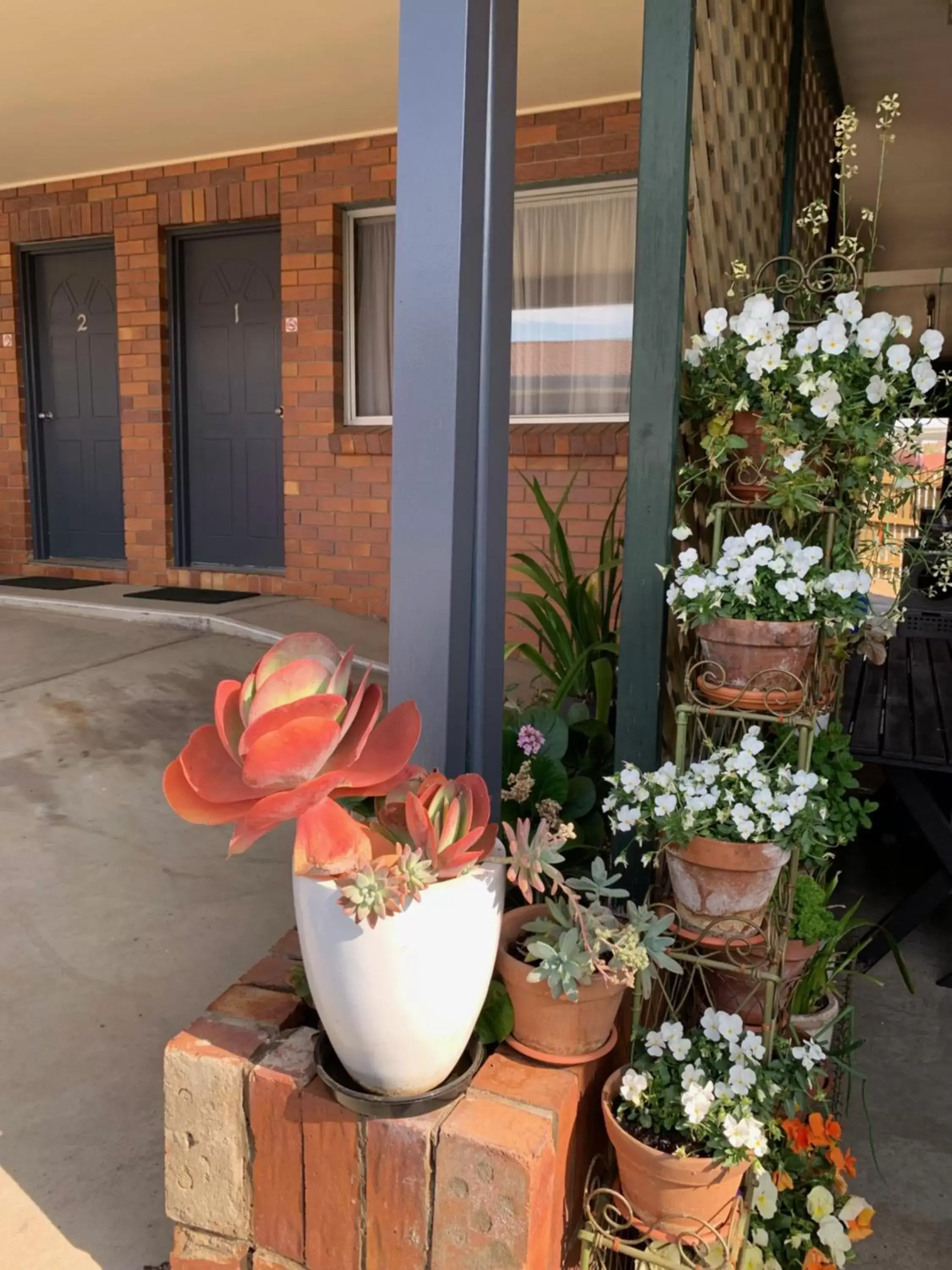 Peter Allen Motor Inn Peter Allen Motor Inn