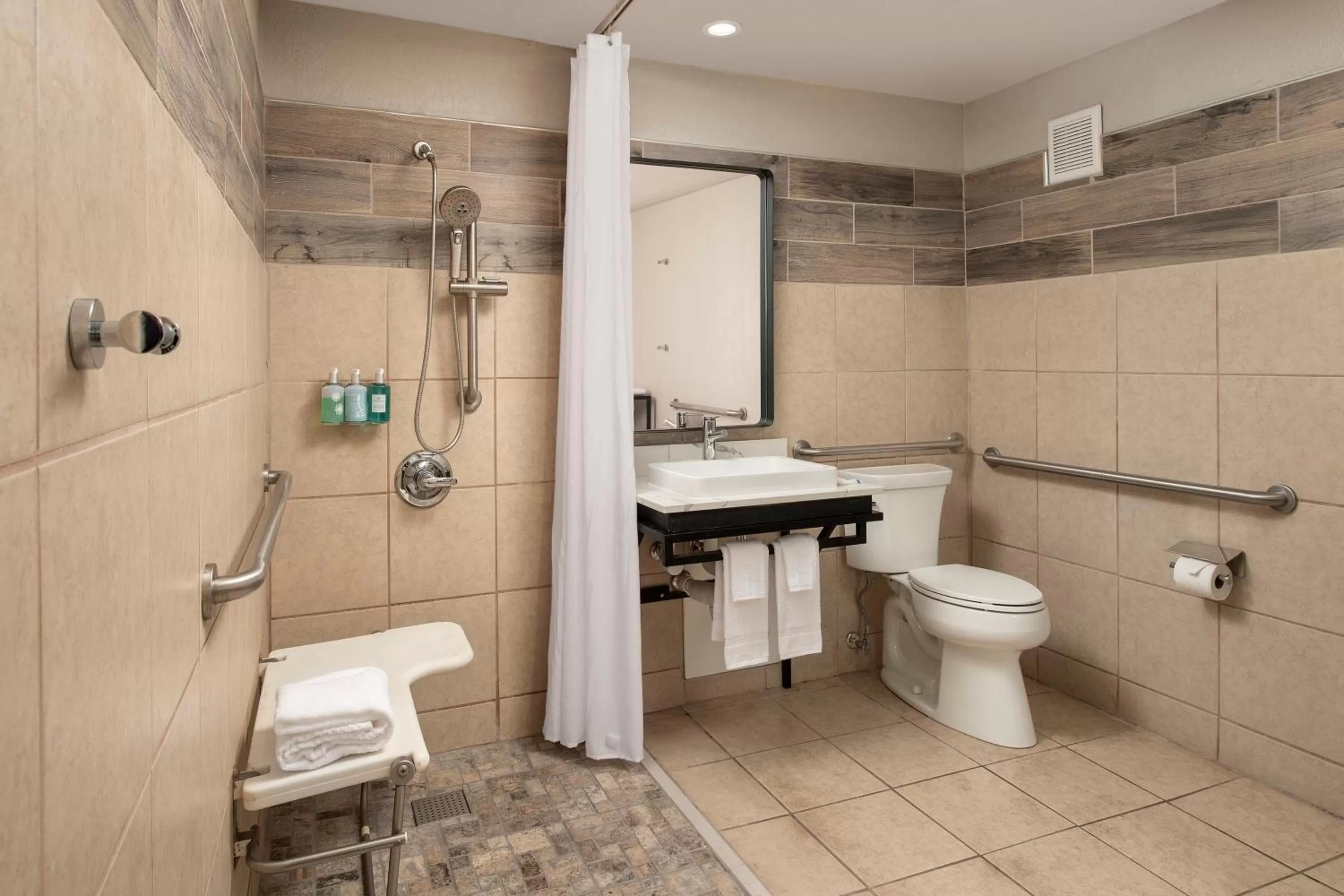 Bathroom in Rodeway Inn St Augustine Historic District