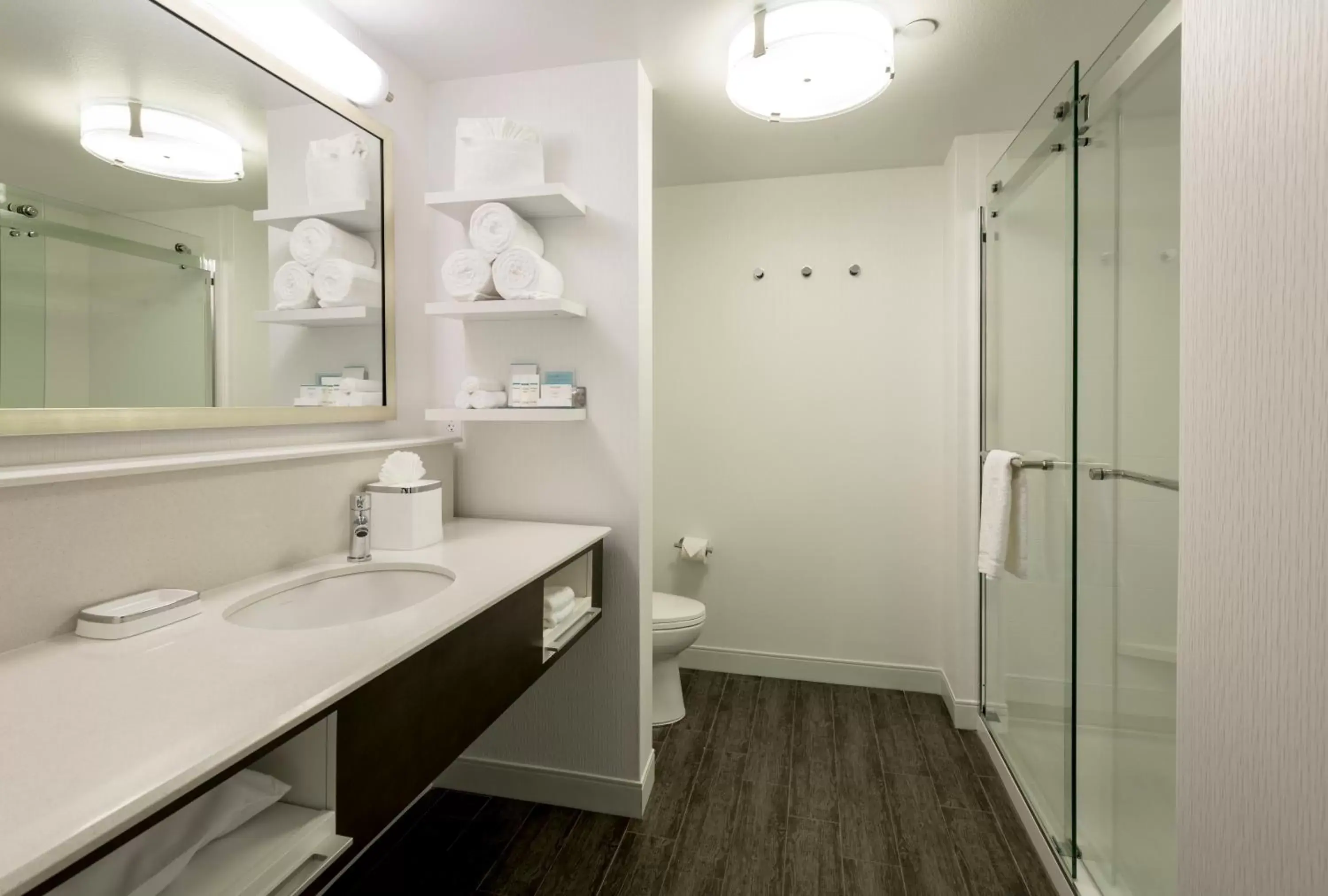 Toilet, Bathroom in Hampton Inn & Suites San Diego-Poway