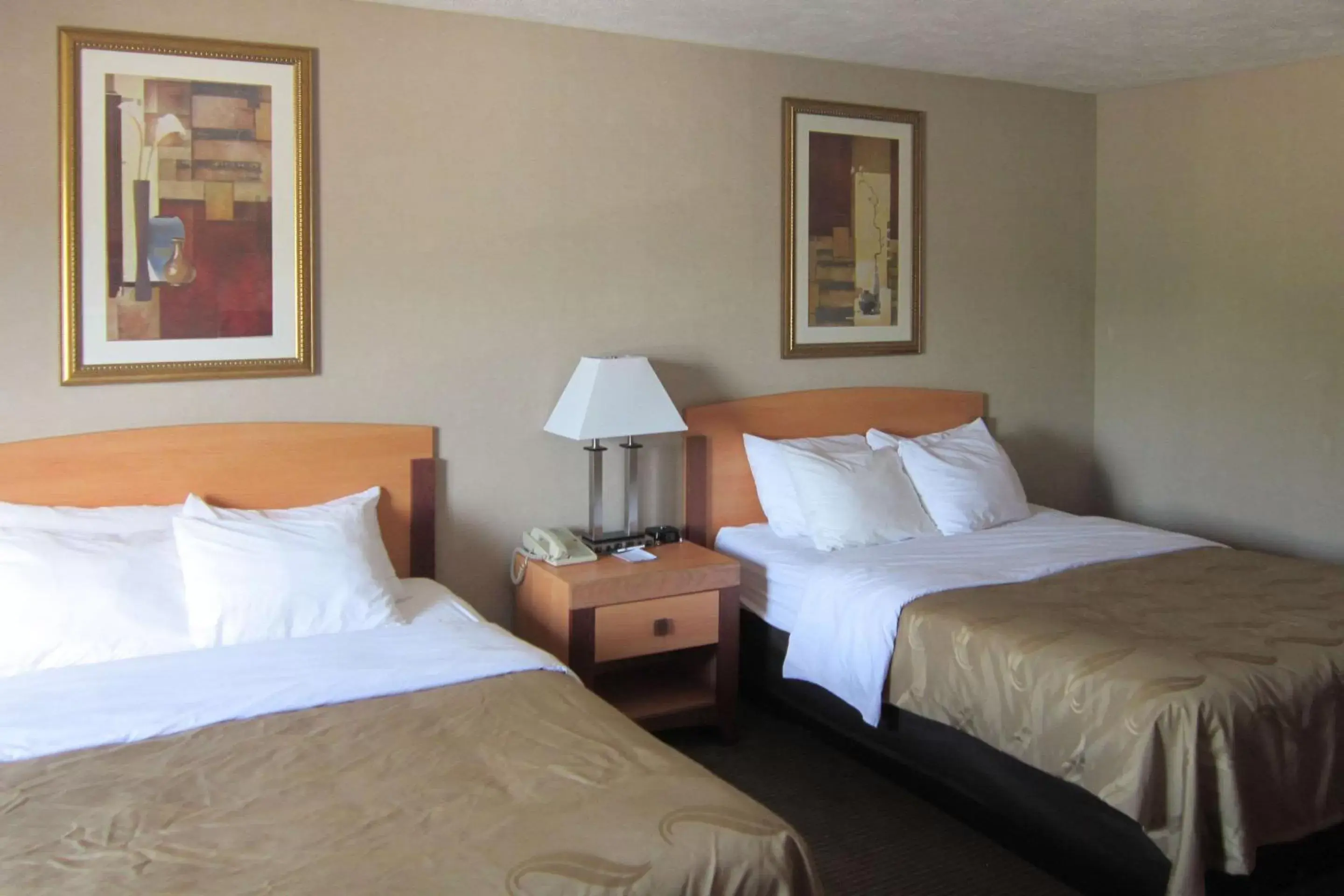 Photo of the whole room, Bed in Quality Inn Nashville – Bloomington