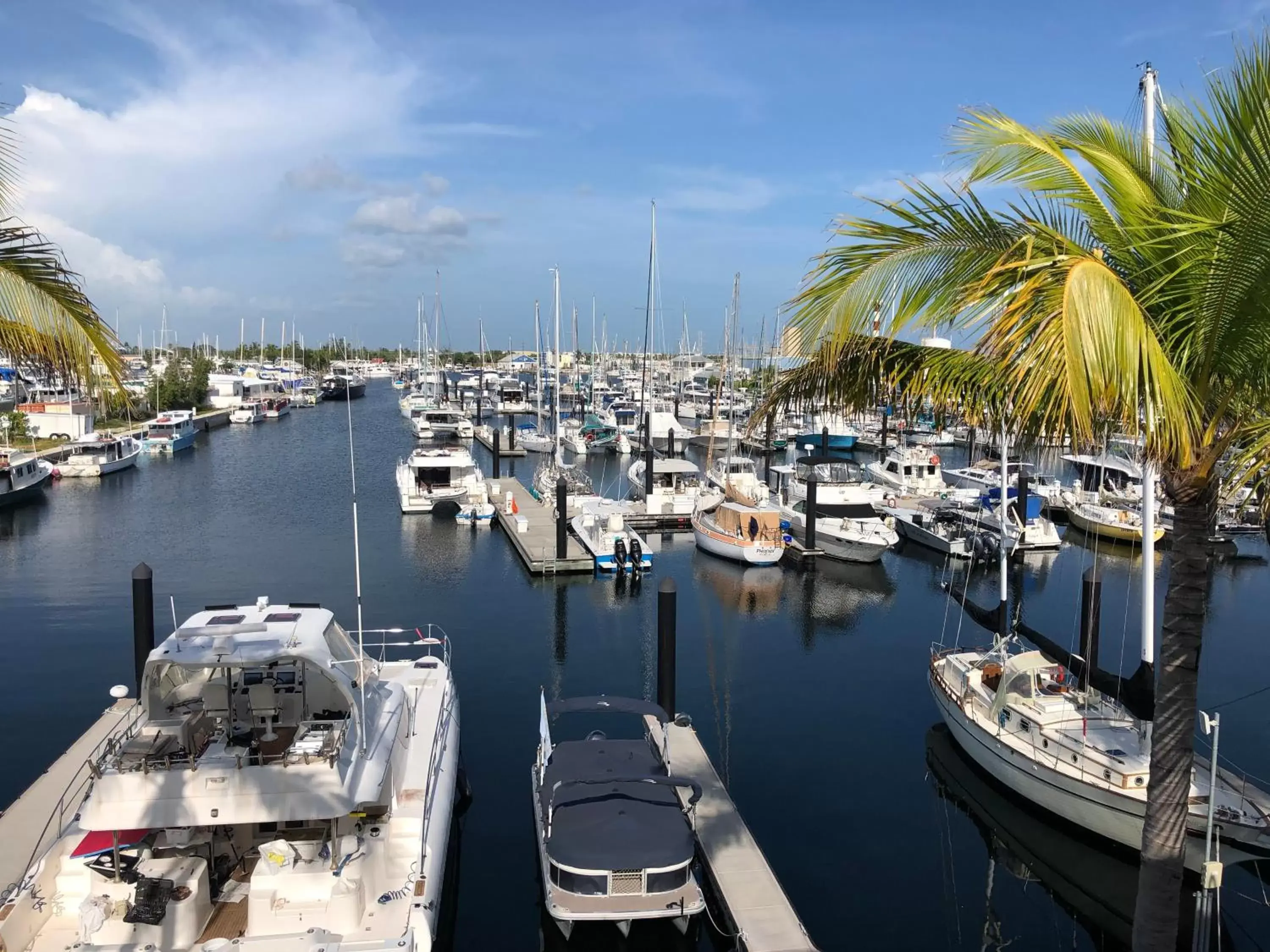 View (from property/room) in The Perry Hotel & Marina Key West