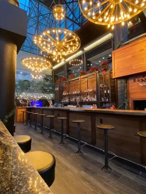 Lounge or bar, Lounge/Bar in Hyatt Regency Buffalo