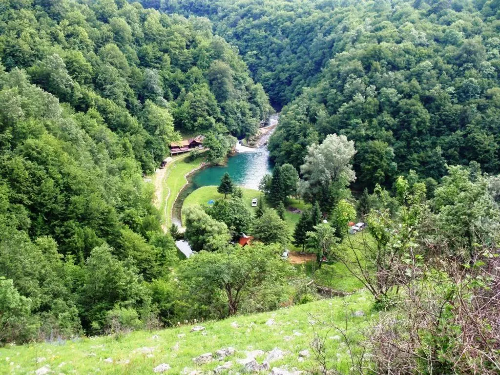 Area and facilities in Hotel Europa