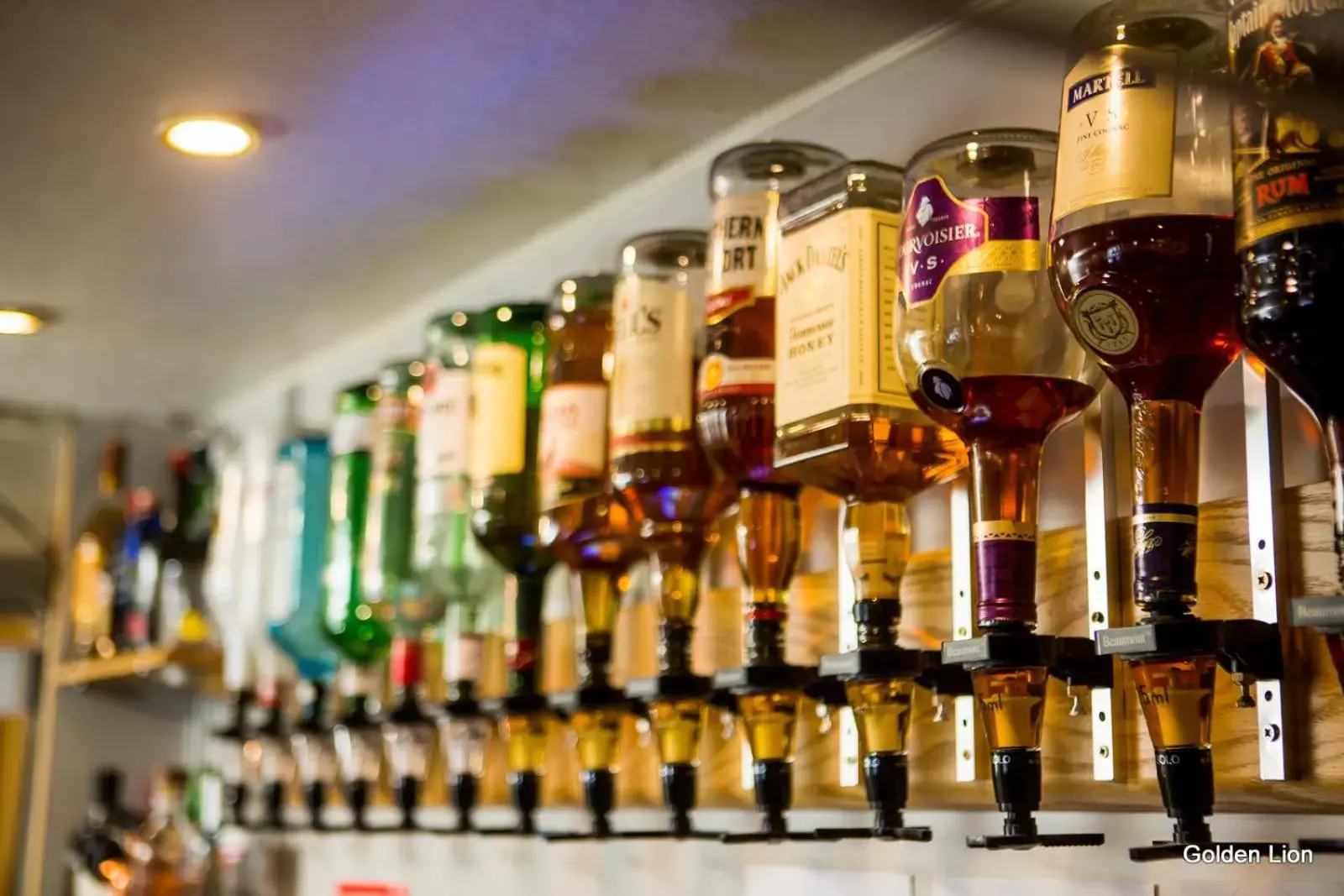 Lounge or bar, Drinks in The Golden Lion Inn