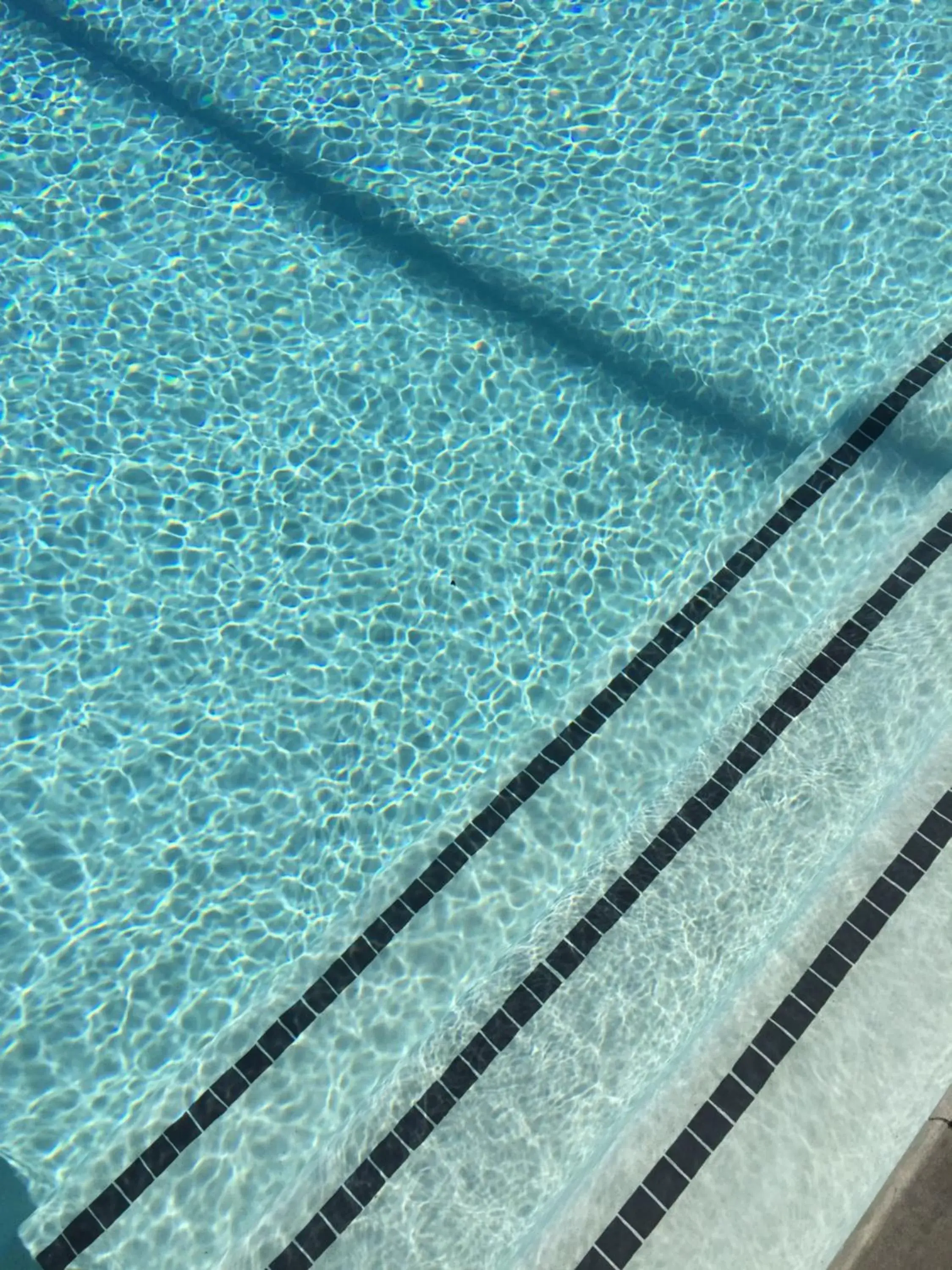 Decorative detail, Swimming Pool in The Palm Springs Hotel