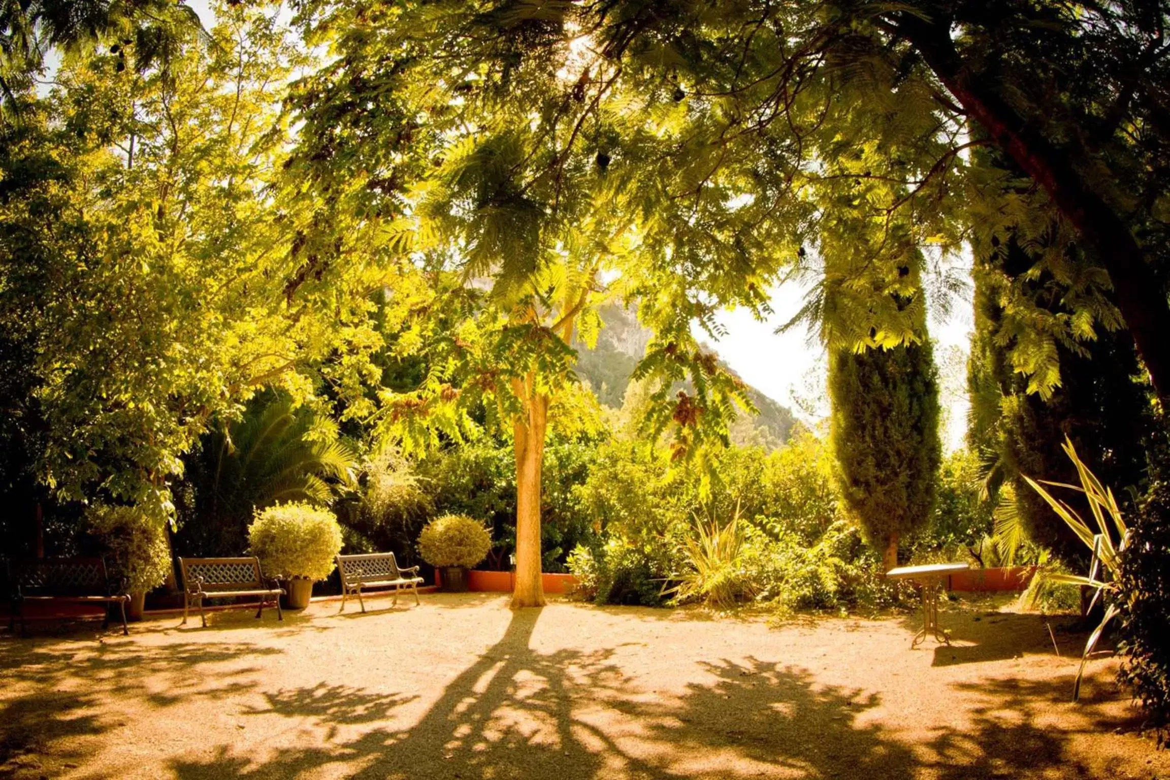 Patio, Garden in Mont-Sant