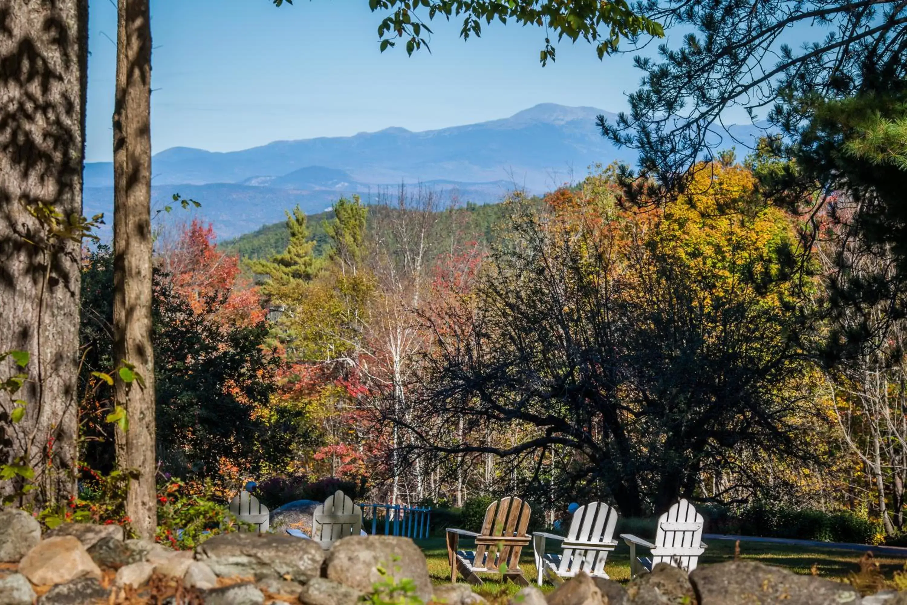 View (from property/room) in Snowvillage Inn View (from property/room) in Snowvillage Inn