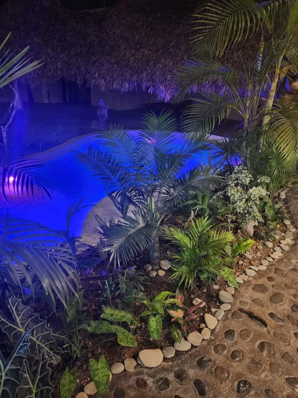 Pool View in Happiness Boutique Resort