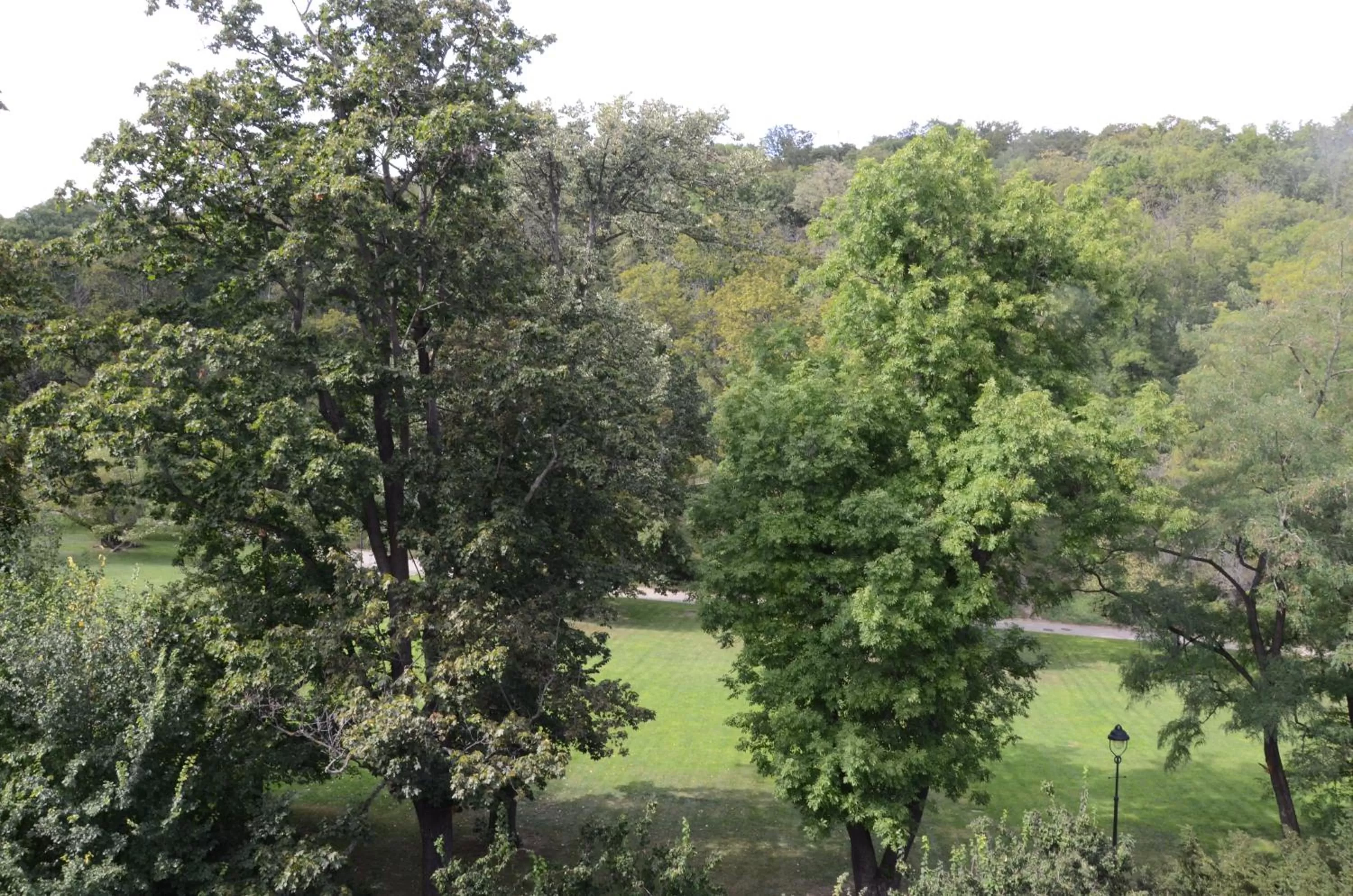 Garden in Chevron Hotel