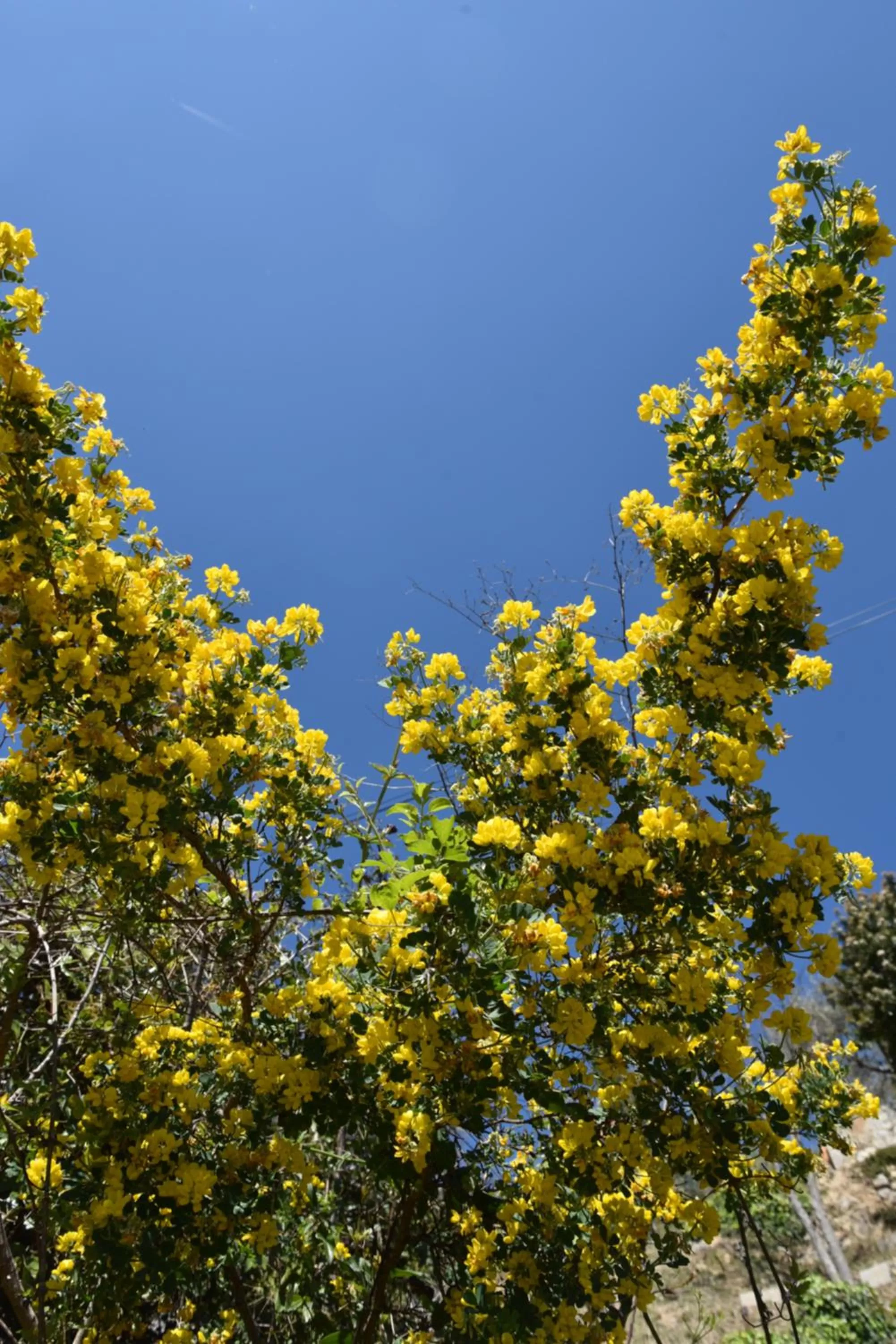Natural landscape in Chambre d'hôtes Cottes
