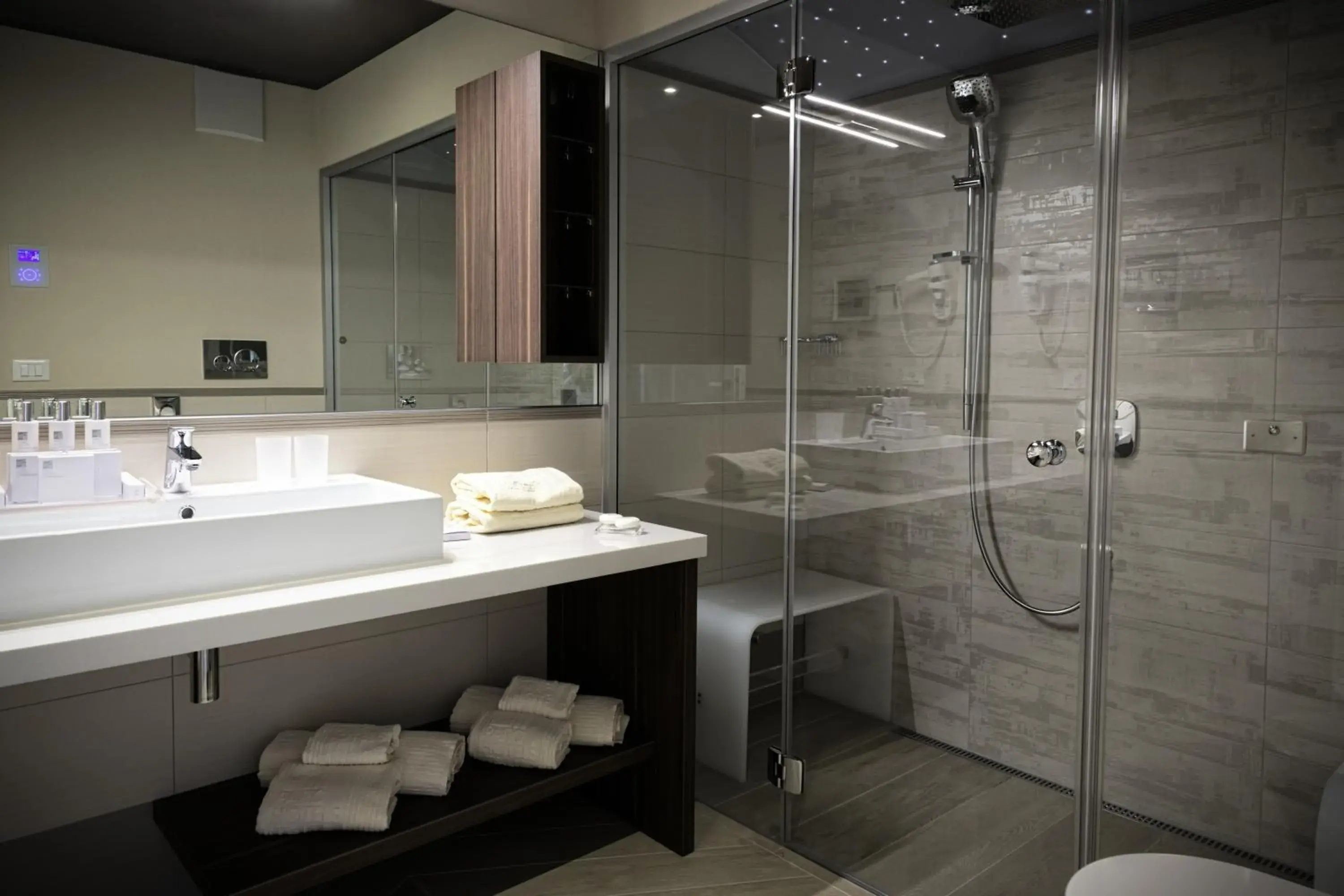 Shower, Bathroom in Parc Hotel Germano Suites & Apartments