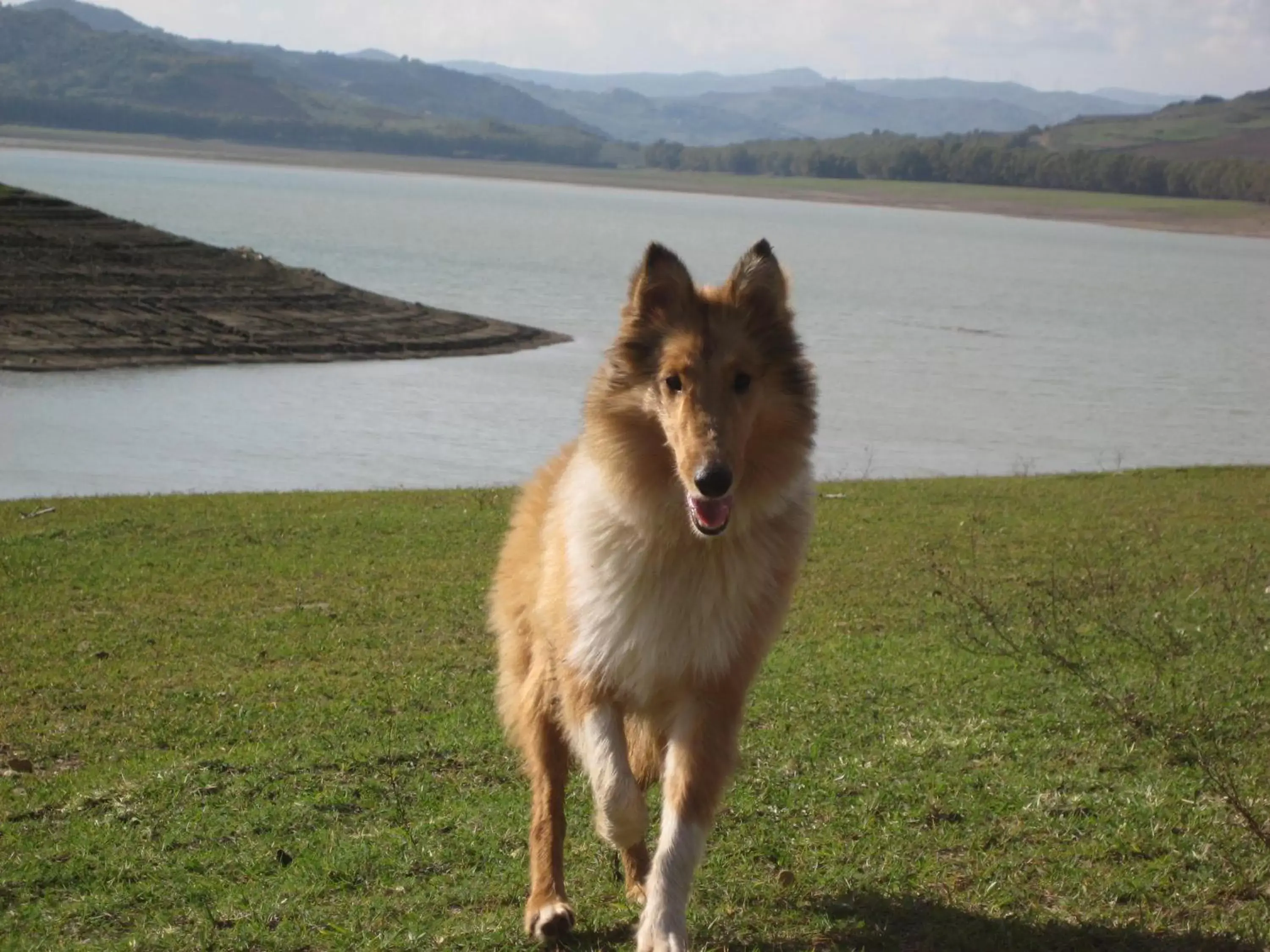 Cycling, Pets in Oasi del Lago