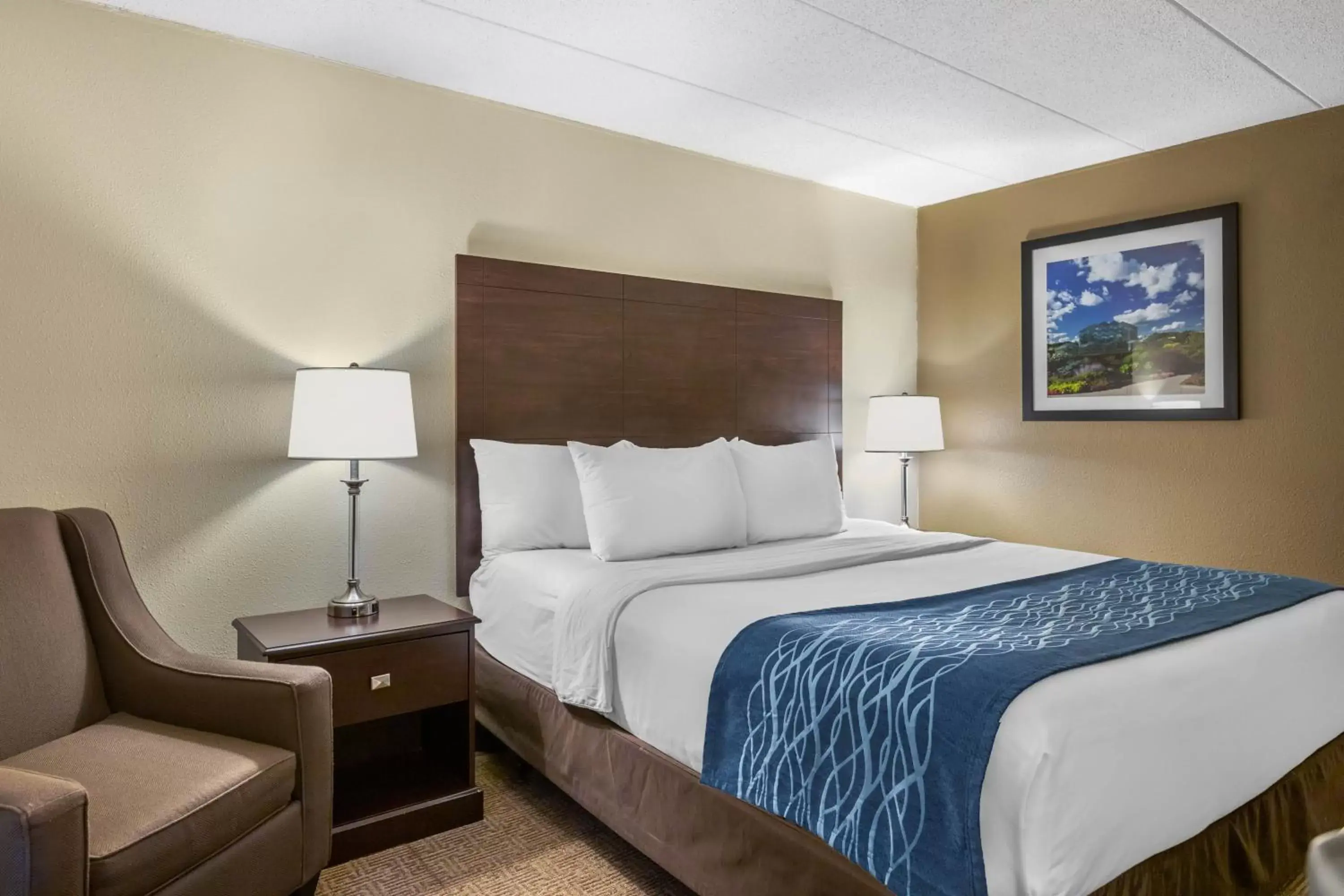 Bed in Comfort Inn Grand Rapids Airport