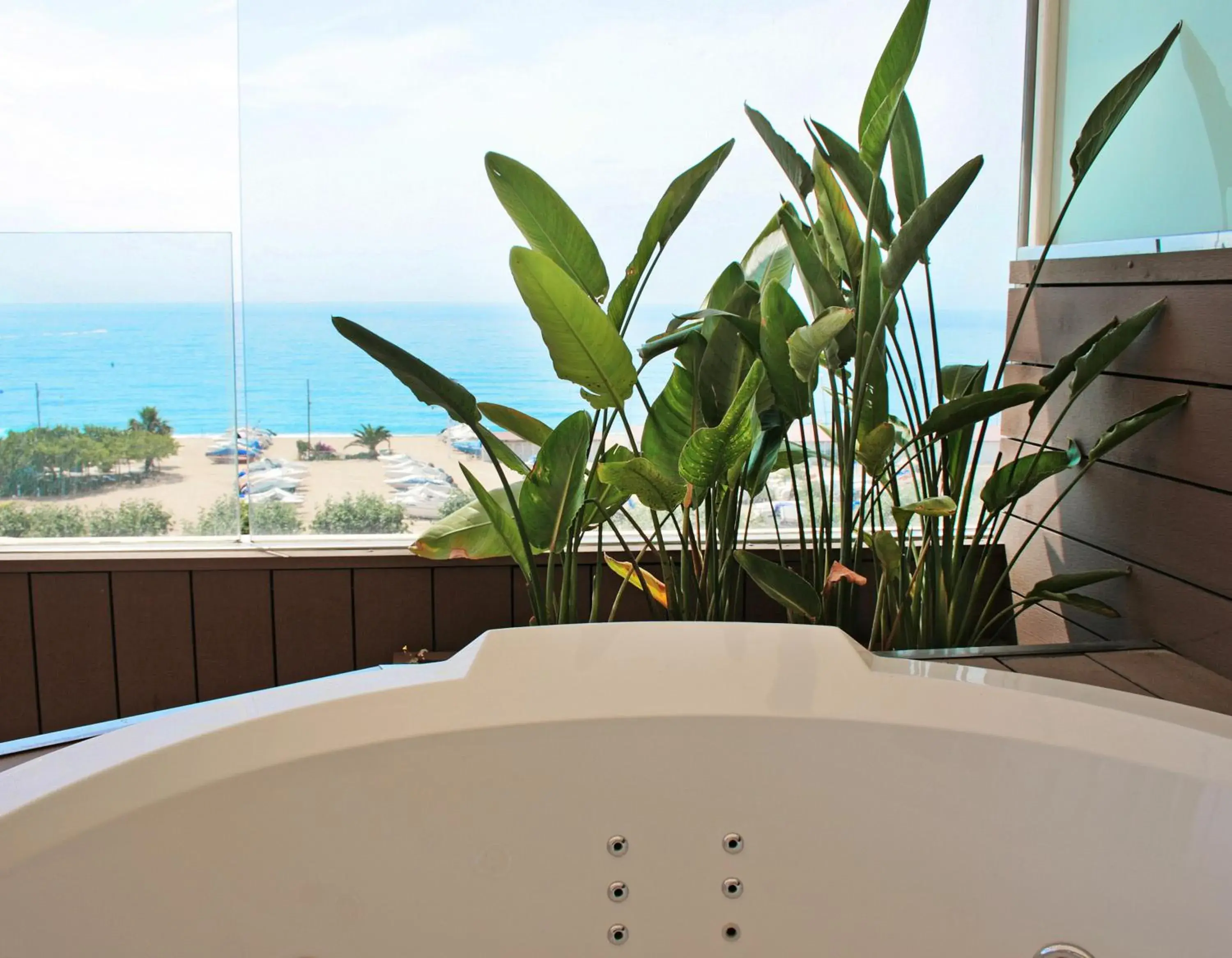 Sea view in KAKTUS Hotel Volga - Adults Recommended Sea view in KAKTUS Hotel Volga - Adults Recommended