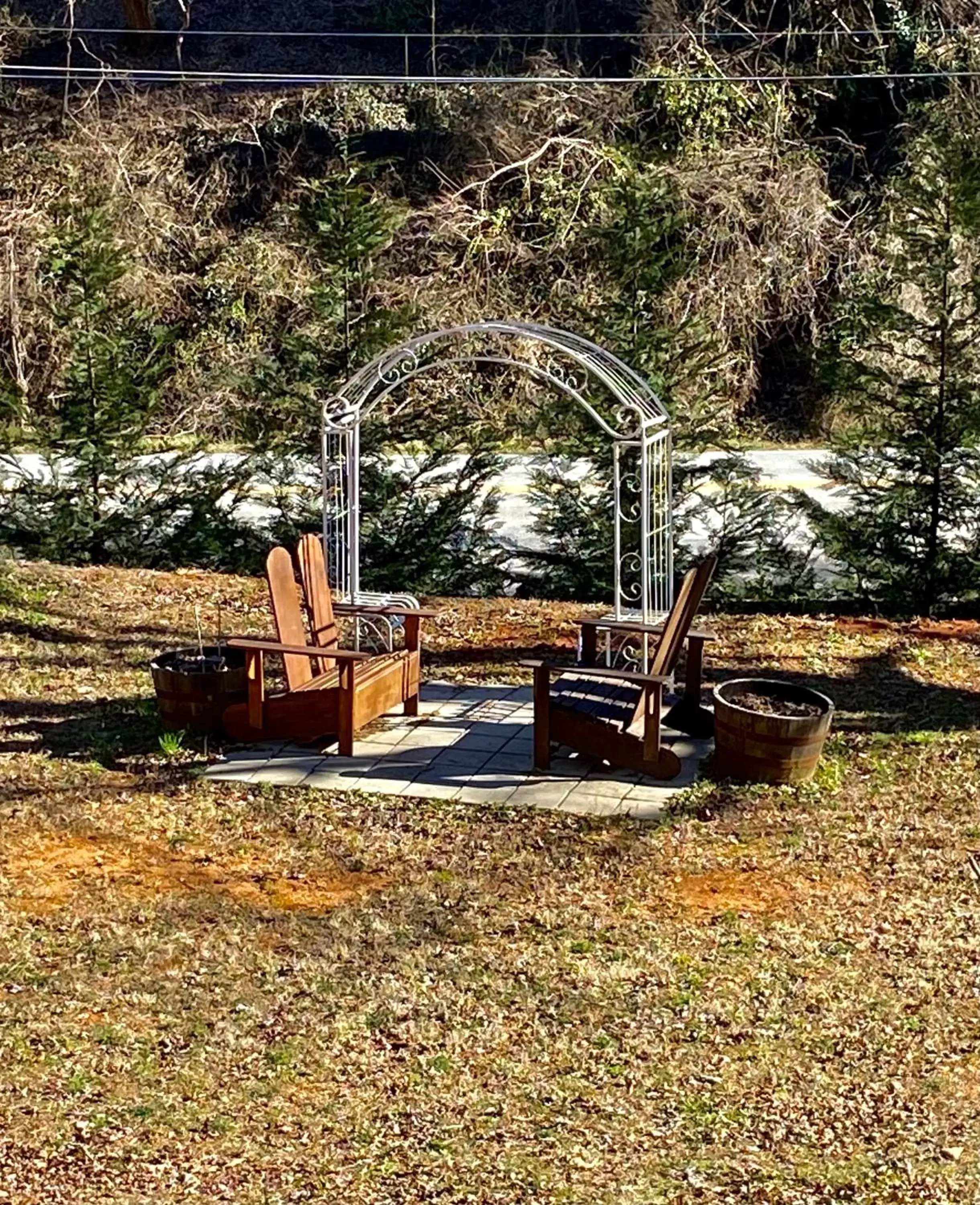 Natural landscape, Garden in Grafton Lodge