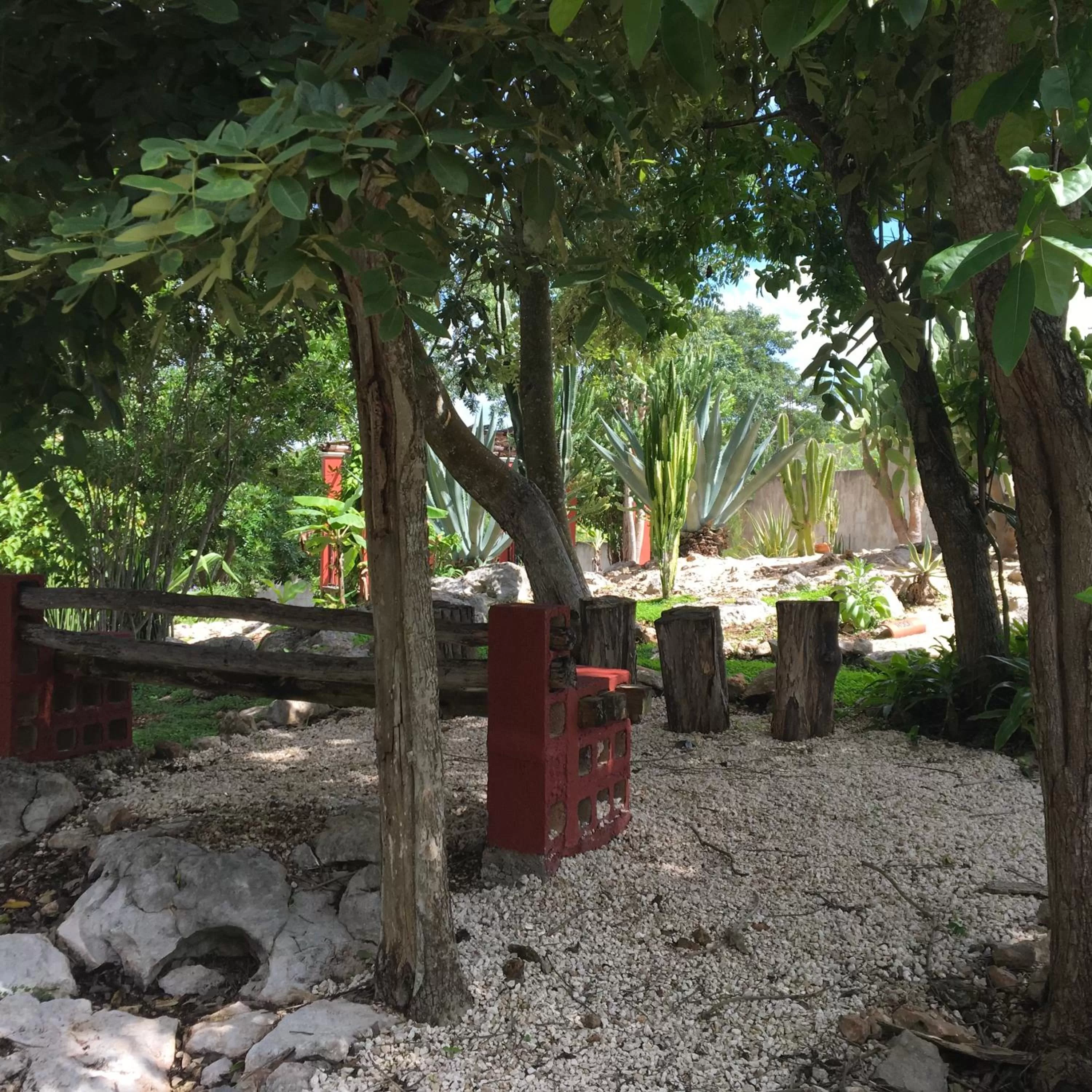 Garden in The Pickled Onion Eco-Boutique B&B