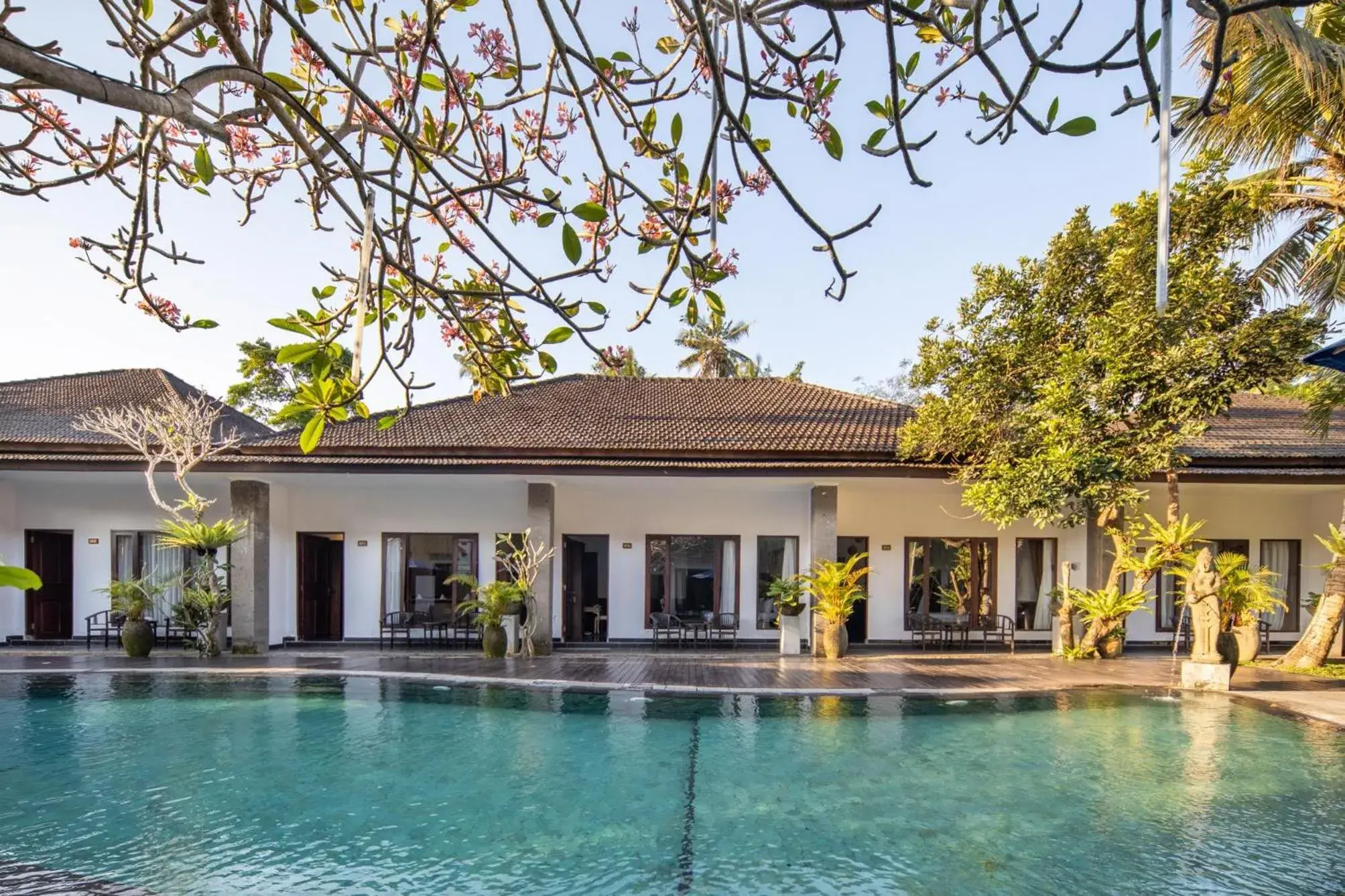 Swimming Pool in Ubud Raya Shala