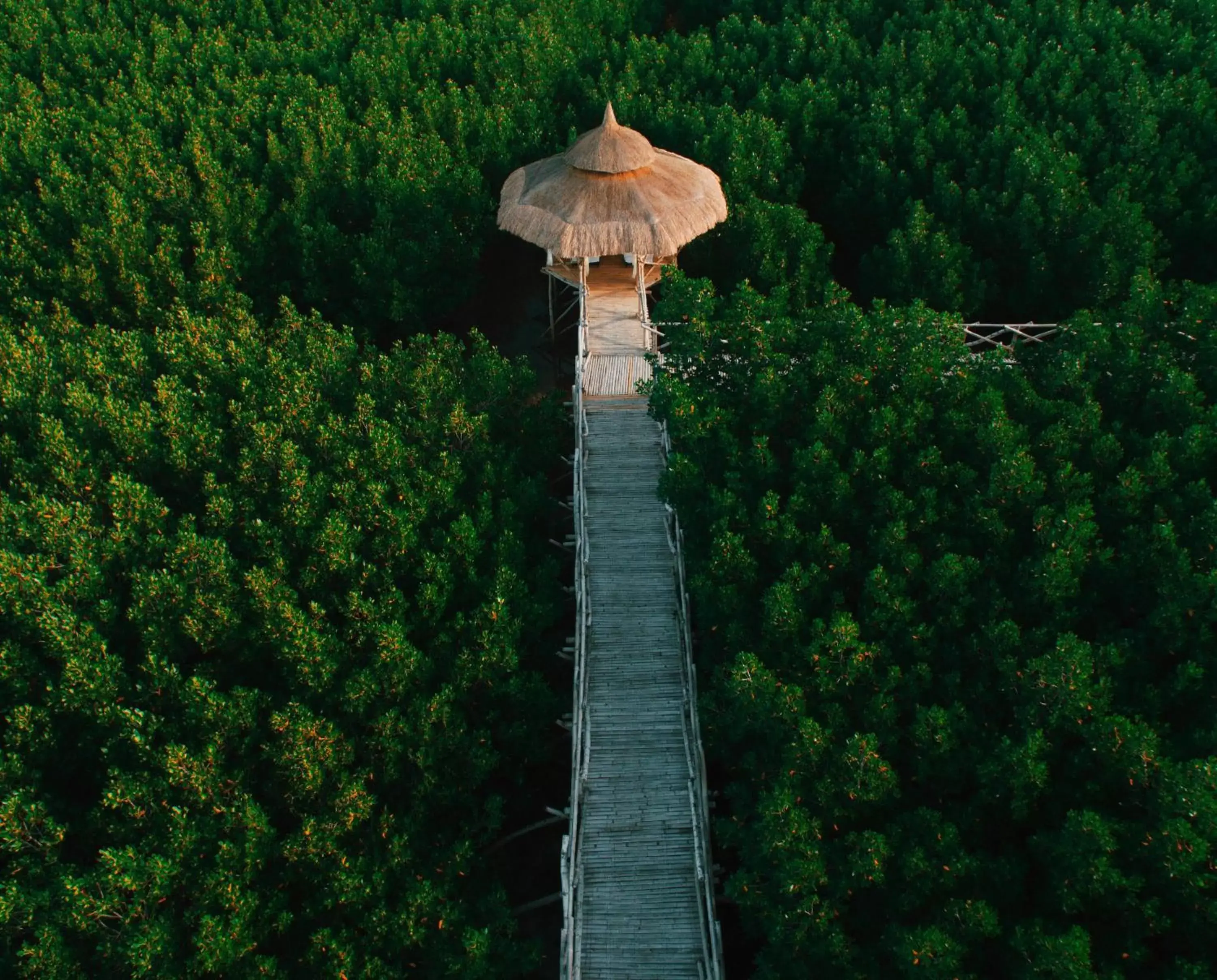 Natural landscape in North Zen Villas