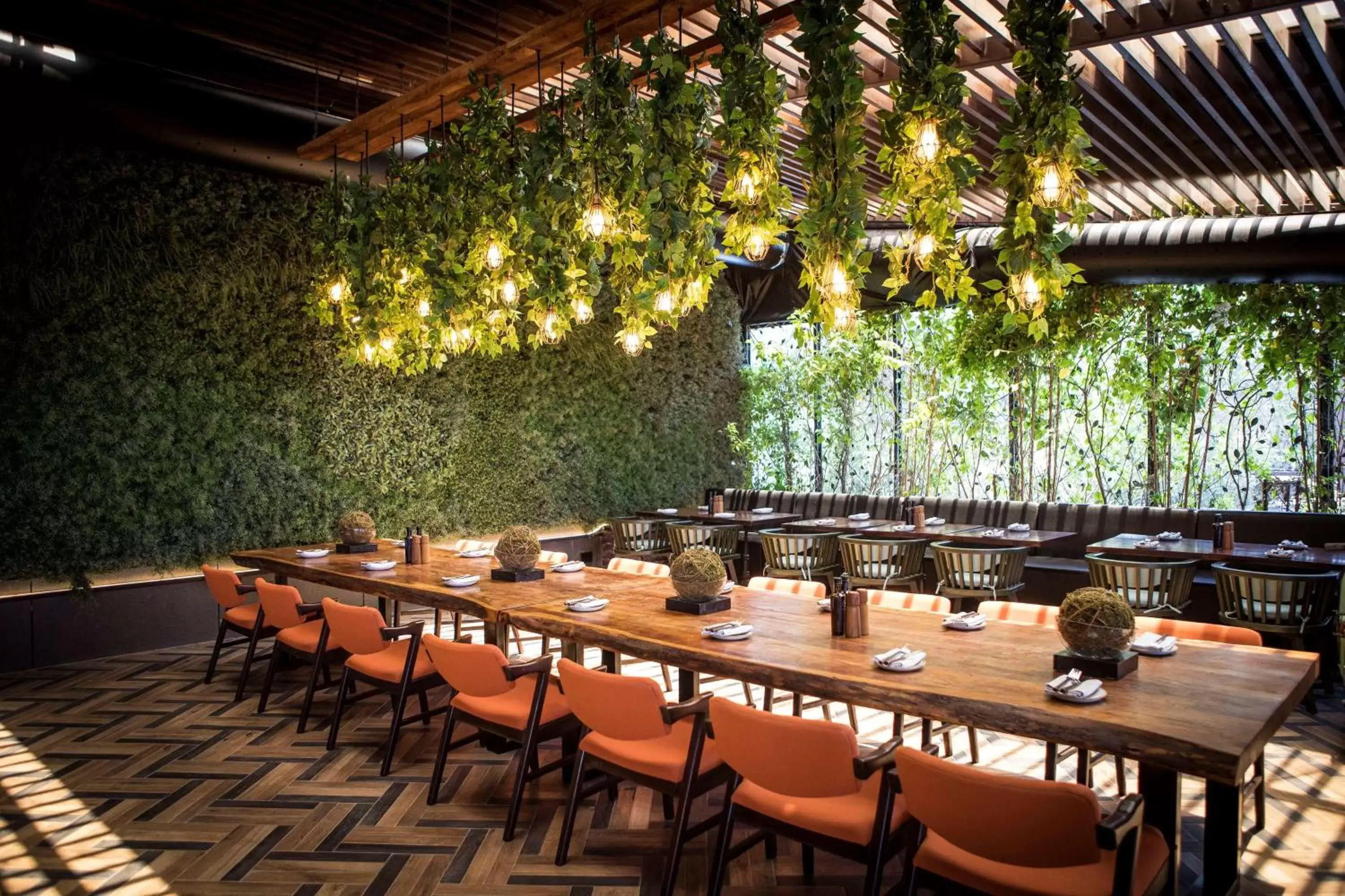 Lounge or bar, Restaurant/Places to Eat in Radisson Blu Hotel, Abu Dhabi Yas Island