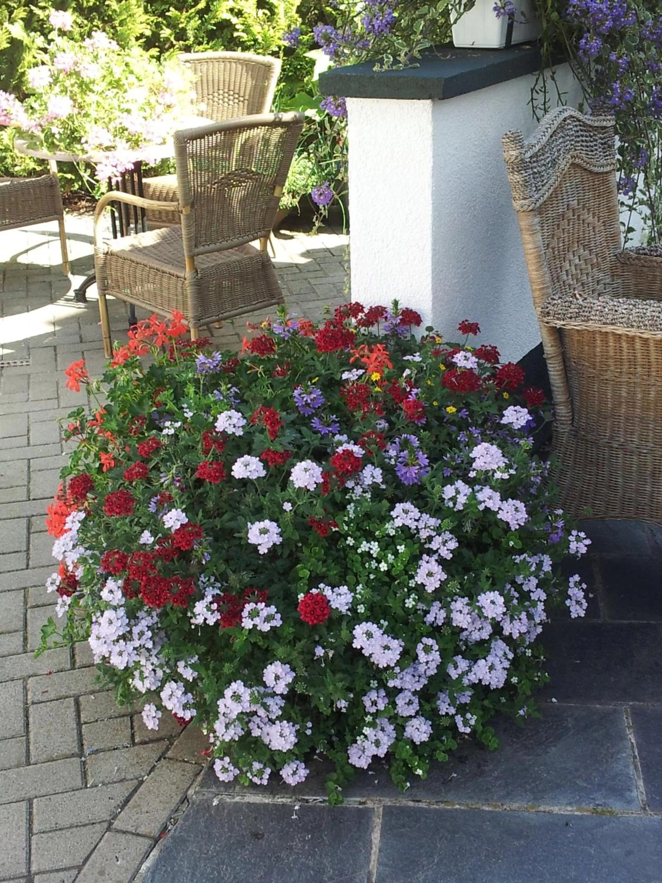 Garden in De Witte Molen Kranenburg