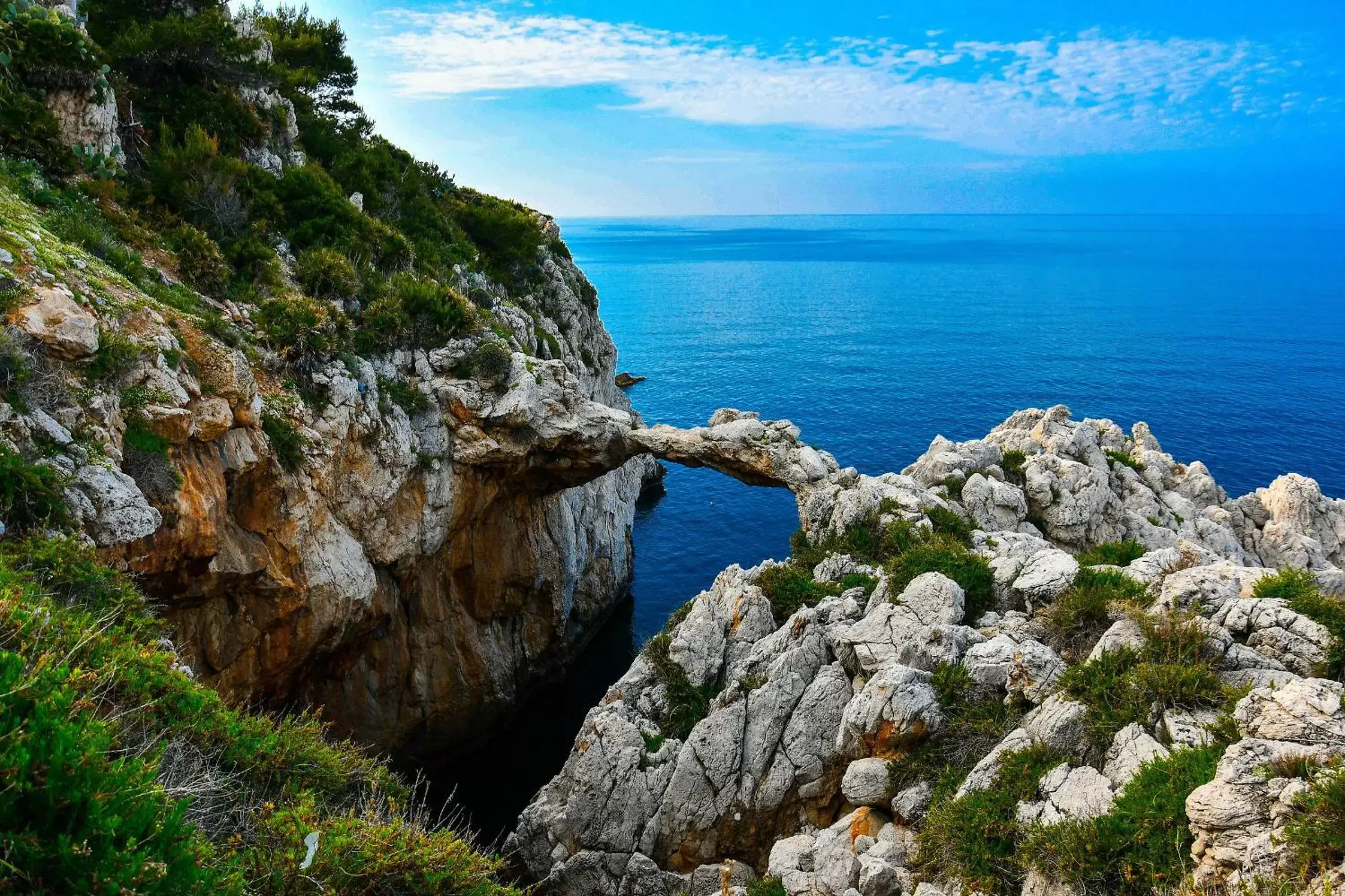 Nearby landmark, Natural Landscape in VILLA MARTA a due passi dalla clinica ortopedica Rizzoli e da Villa Santa Teresa