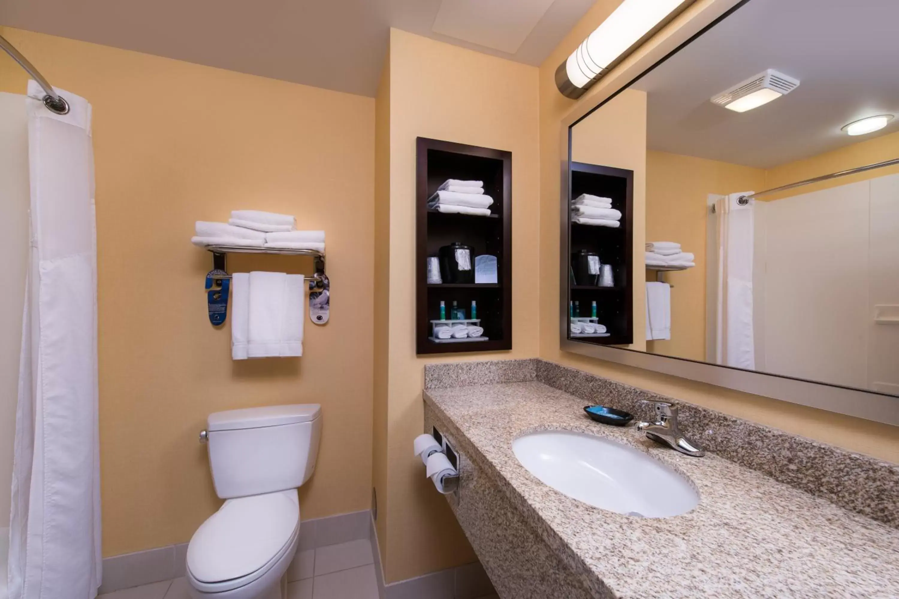 Bathroom in Holiday Inn Express and Suites Dickson City, an IHG Hotel