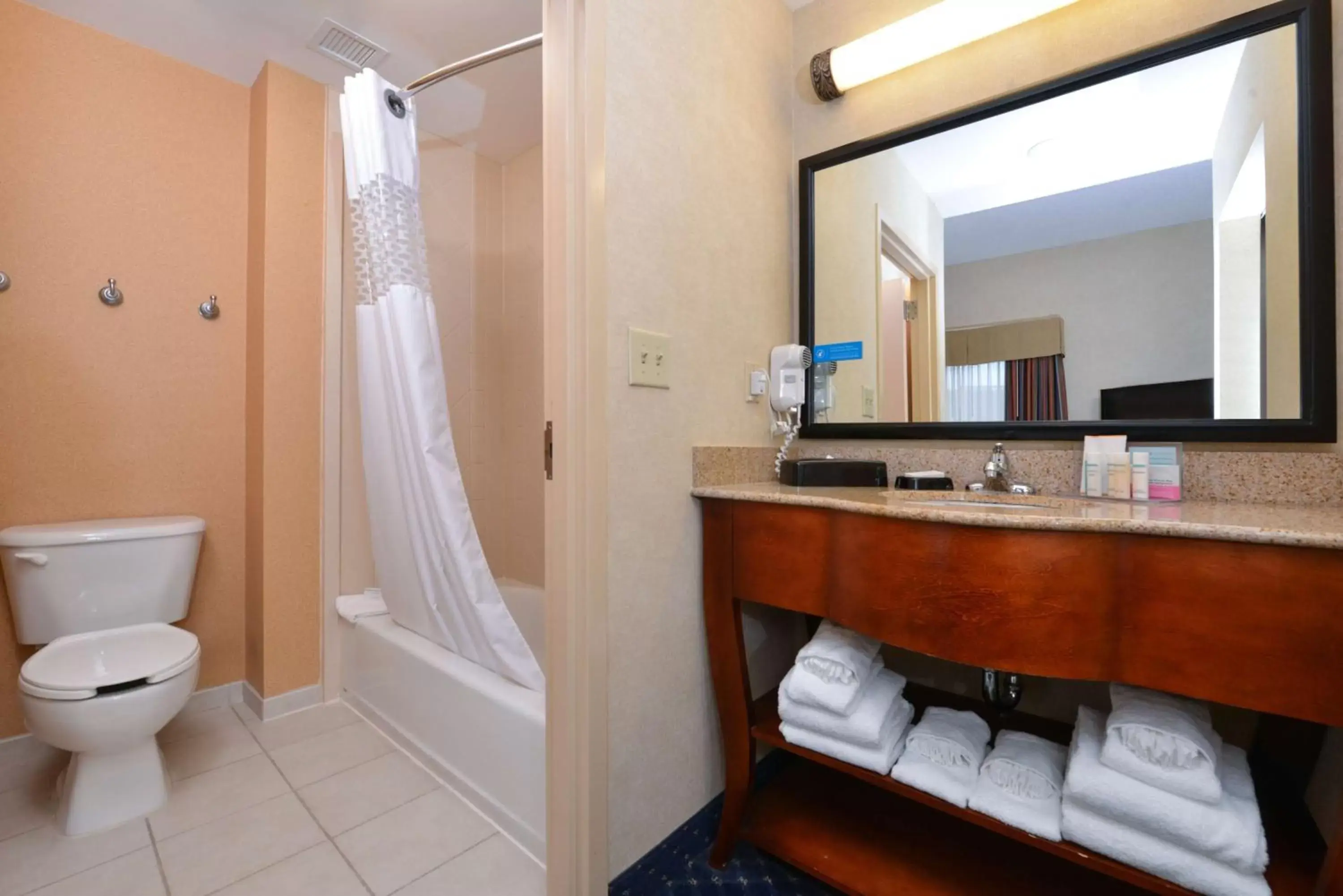 Bathroom in Hampton Inn and Suites Fredericksburg South