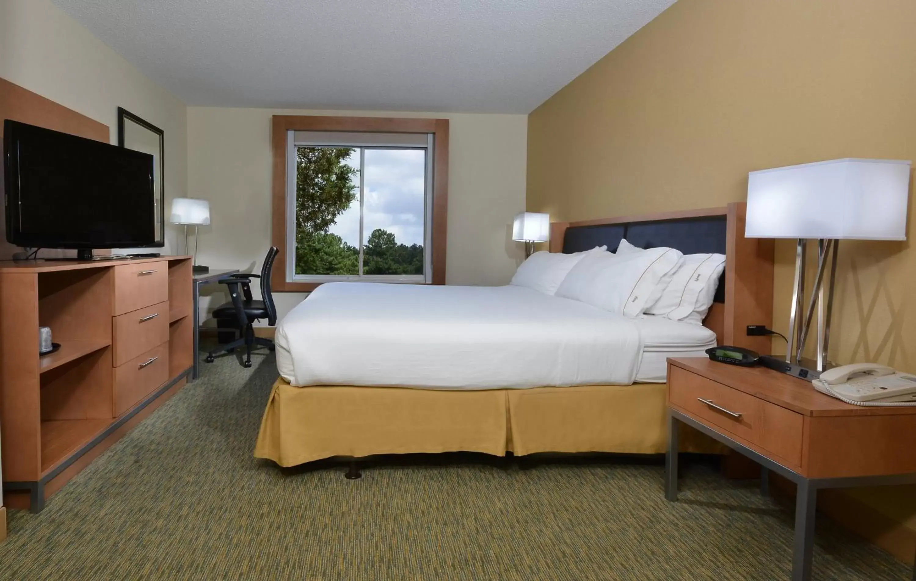 Photo of the whole room, Bed in Holiday Inn Express Hotel & Suites High Point South, an IHG Hotel