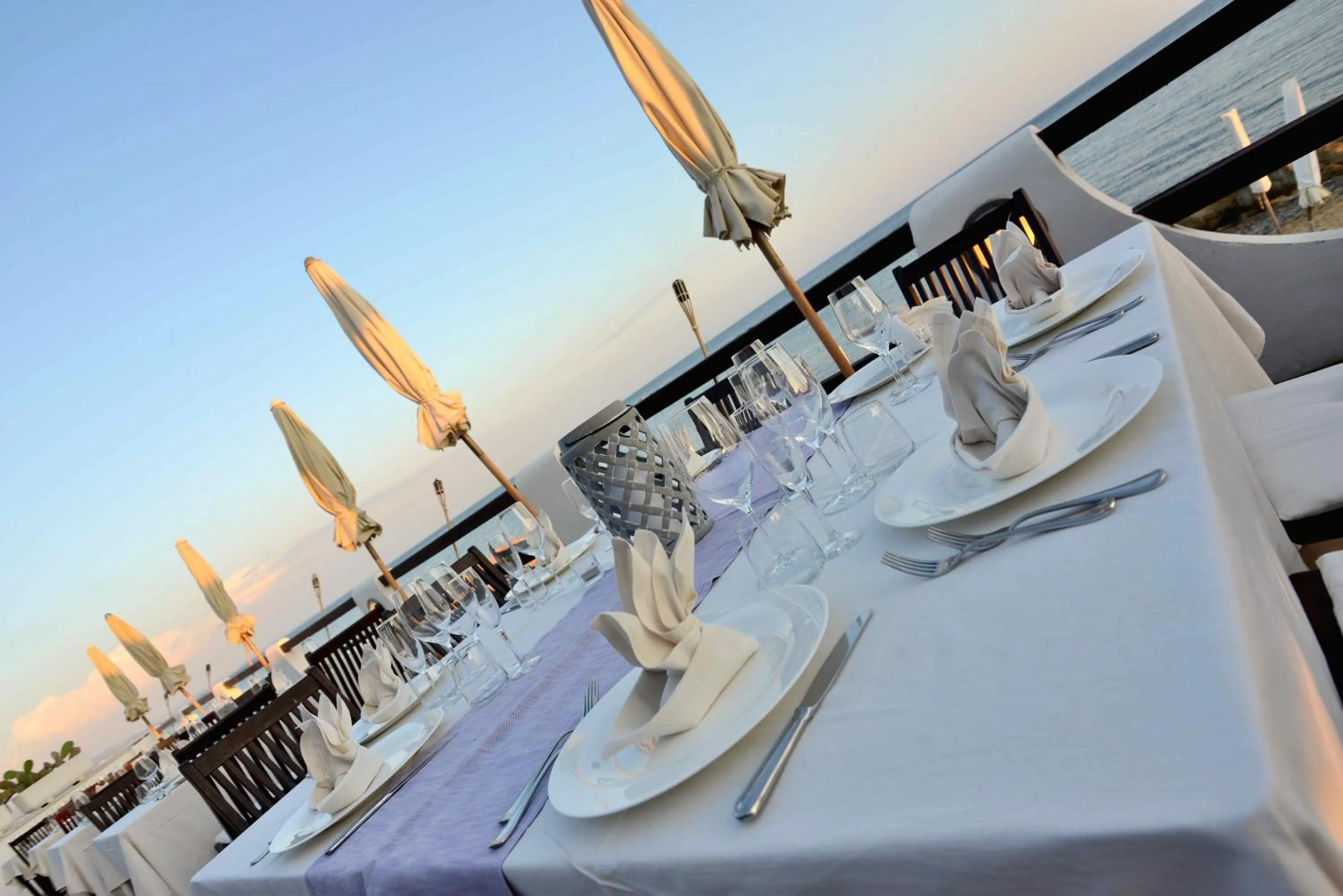 Restaurant/places to eat in Hotel Cavalluccio Marino