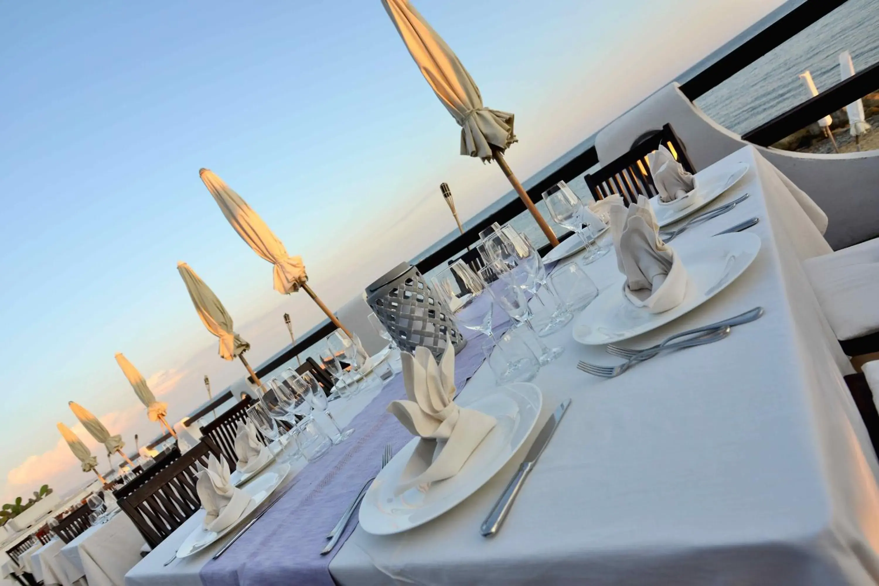 Restaurant/Places to Eat in Hotel Cavalluccio Marino