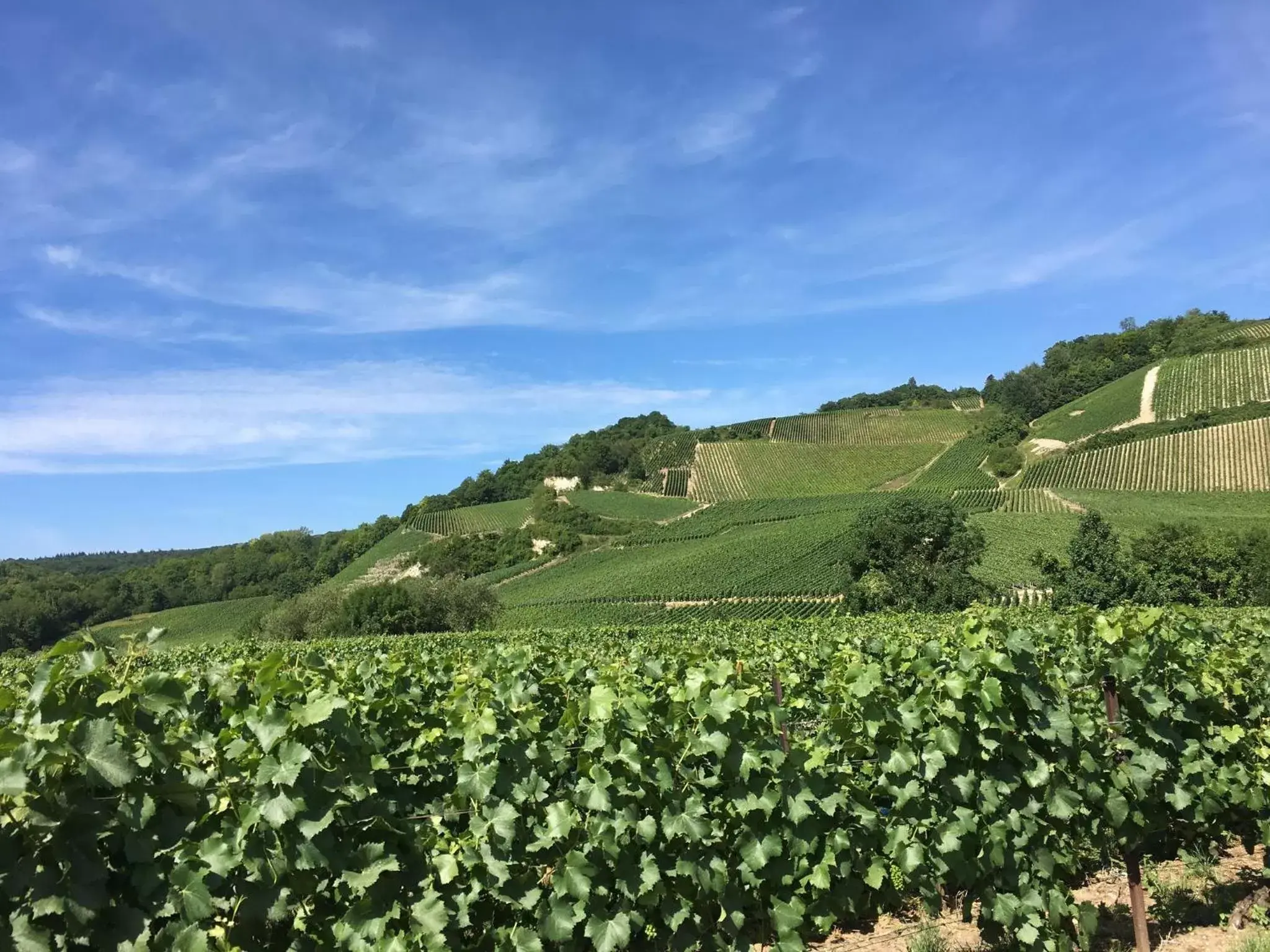 Hiking in Hotel de Champagne