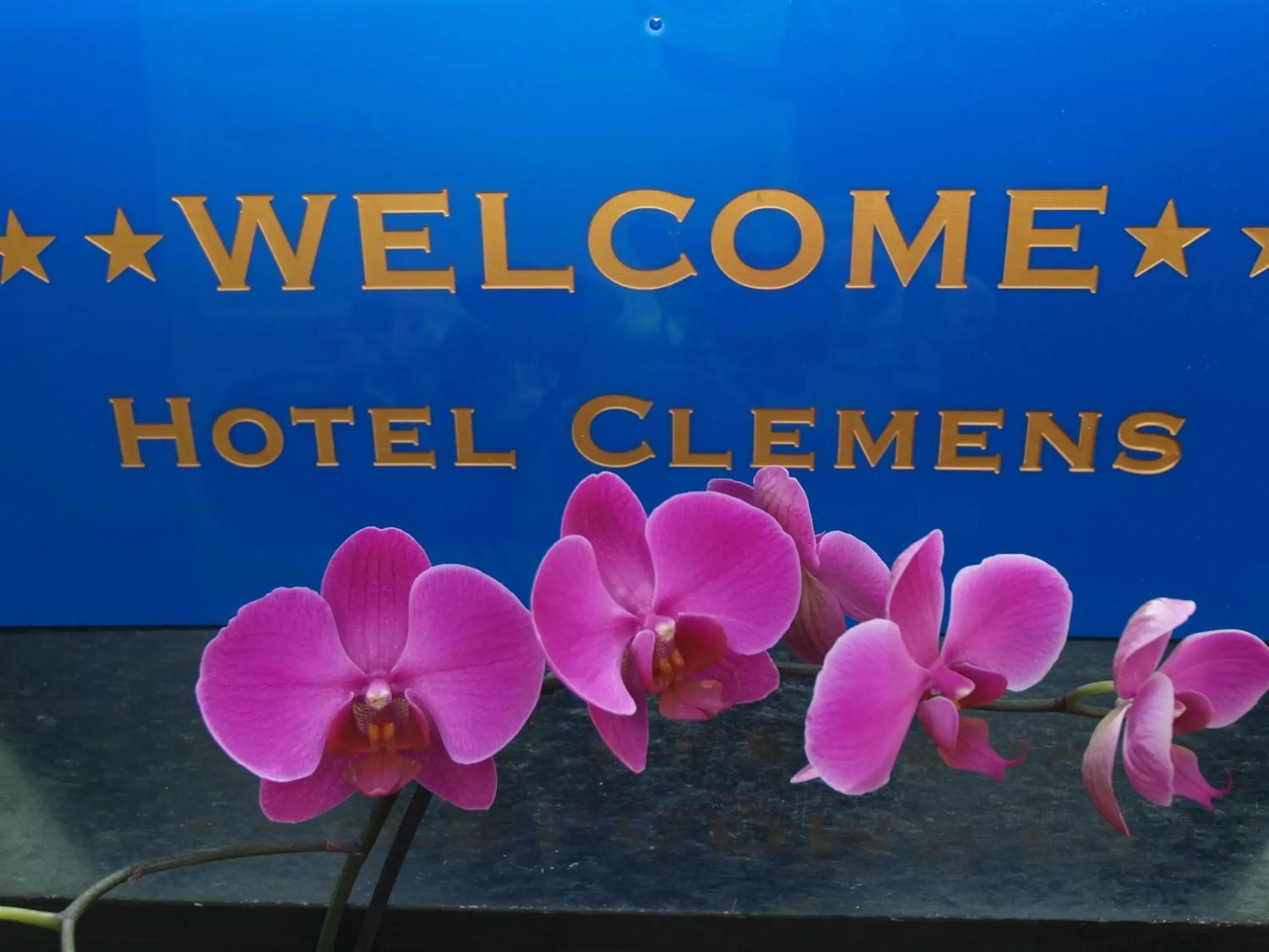 Logo/Certificate/Sign in Hotel Clemens