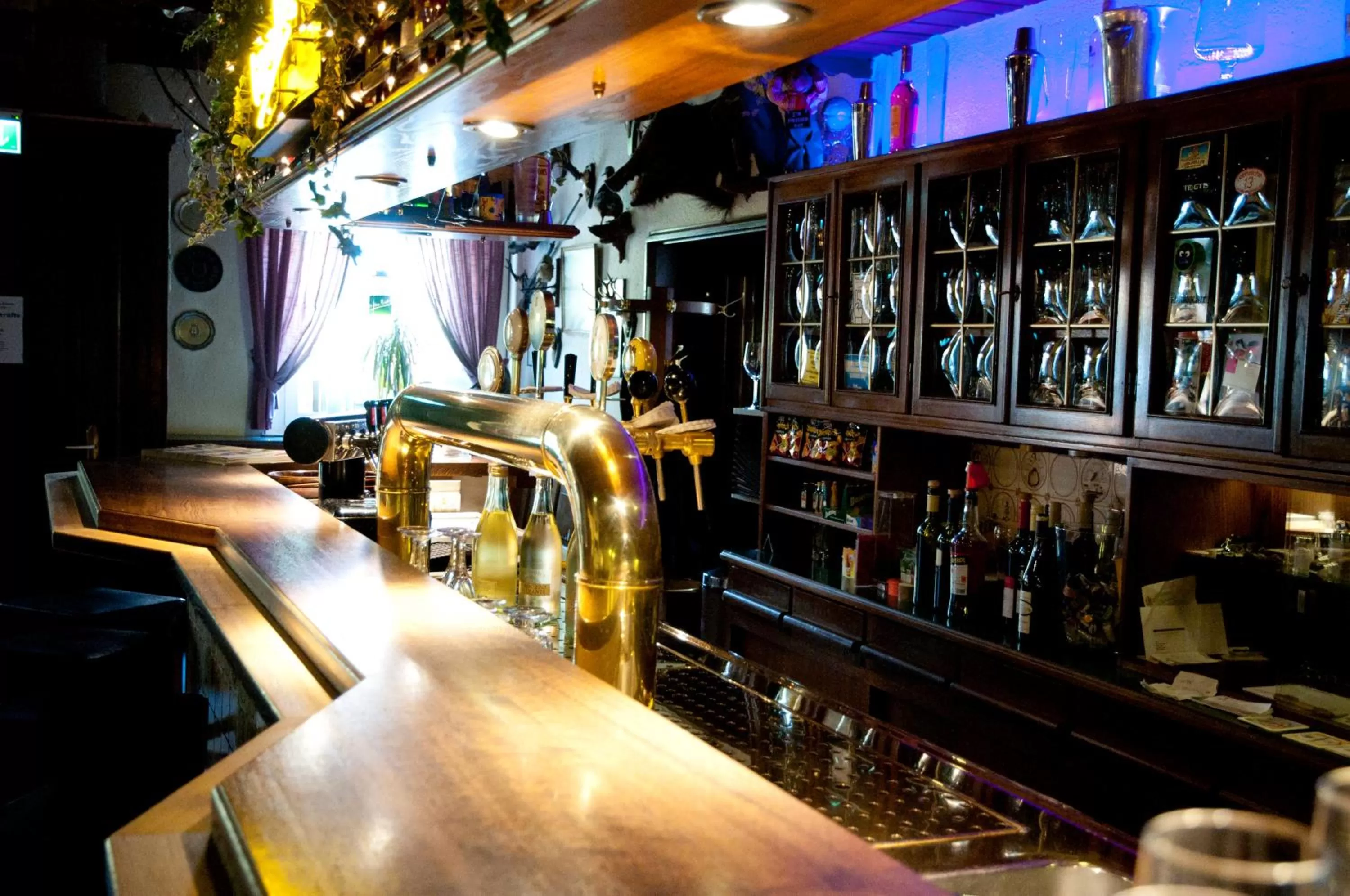 Lounge or bar in Hotel zur Bever