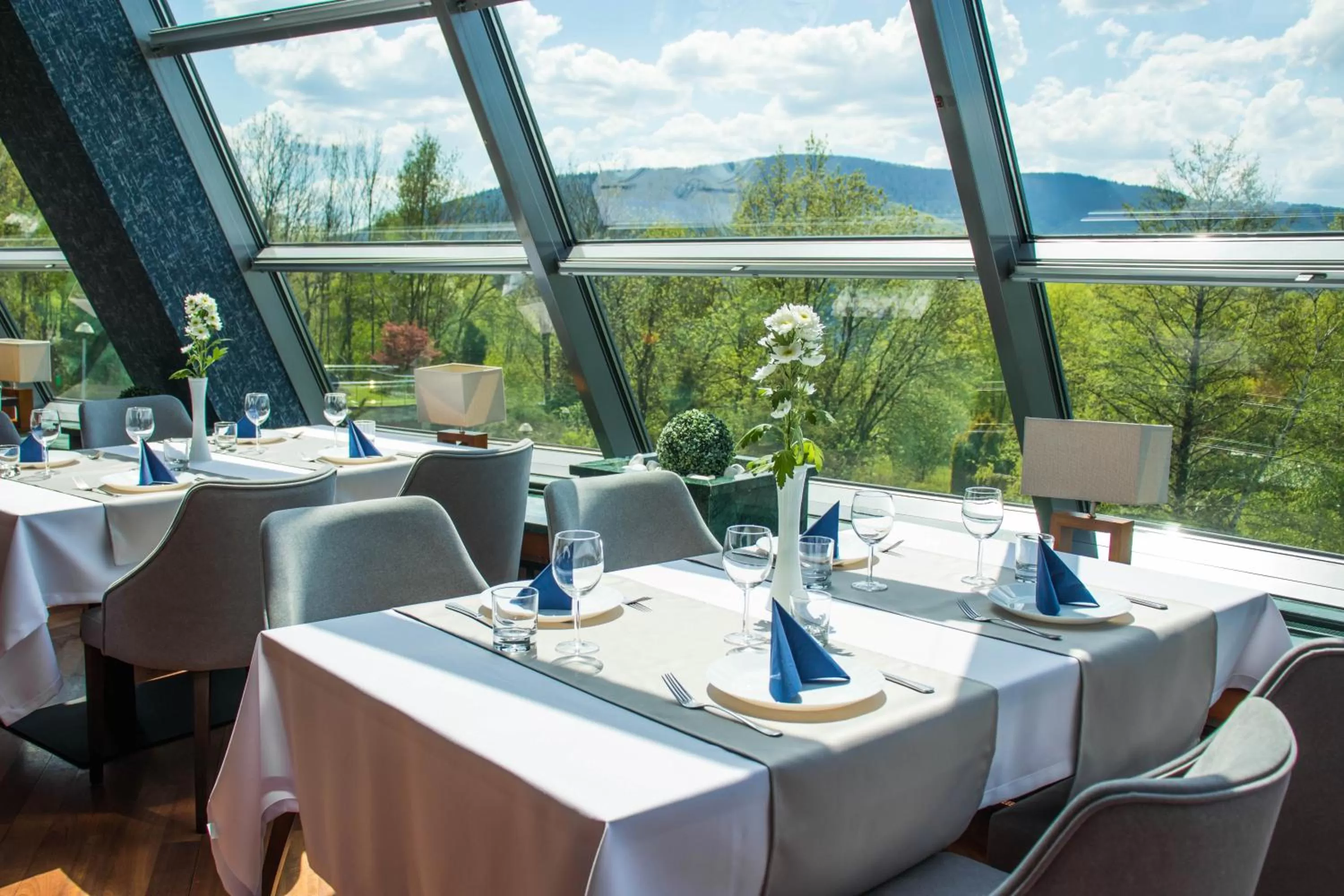 Restaurant/places to eat in Hotel Belweder