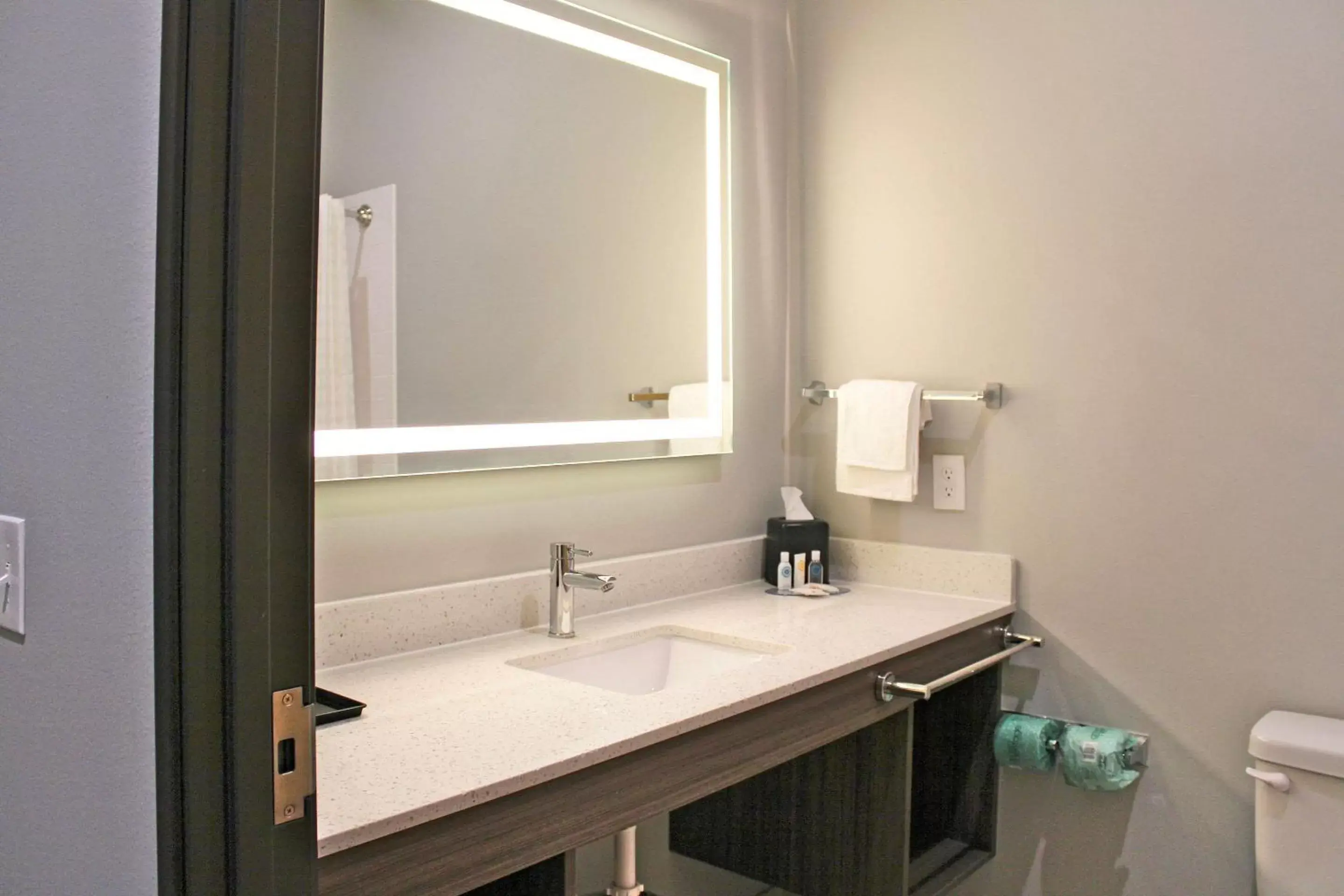 Bathroom in Comfort Inn Miramar Beach - Destin
