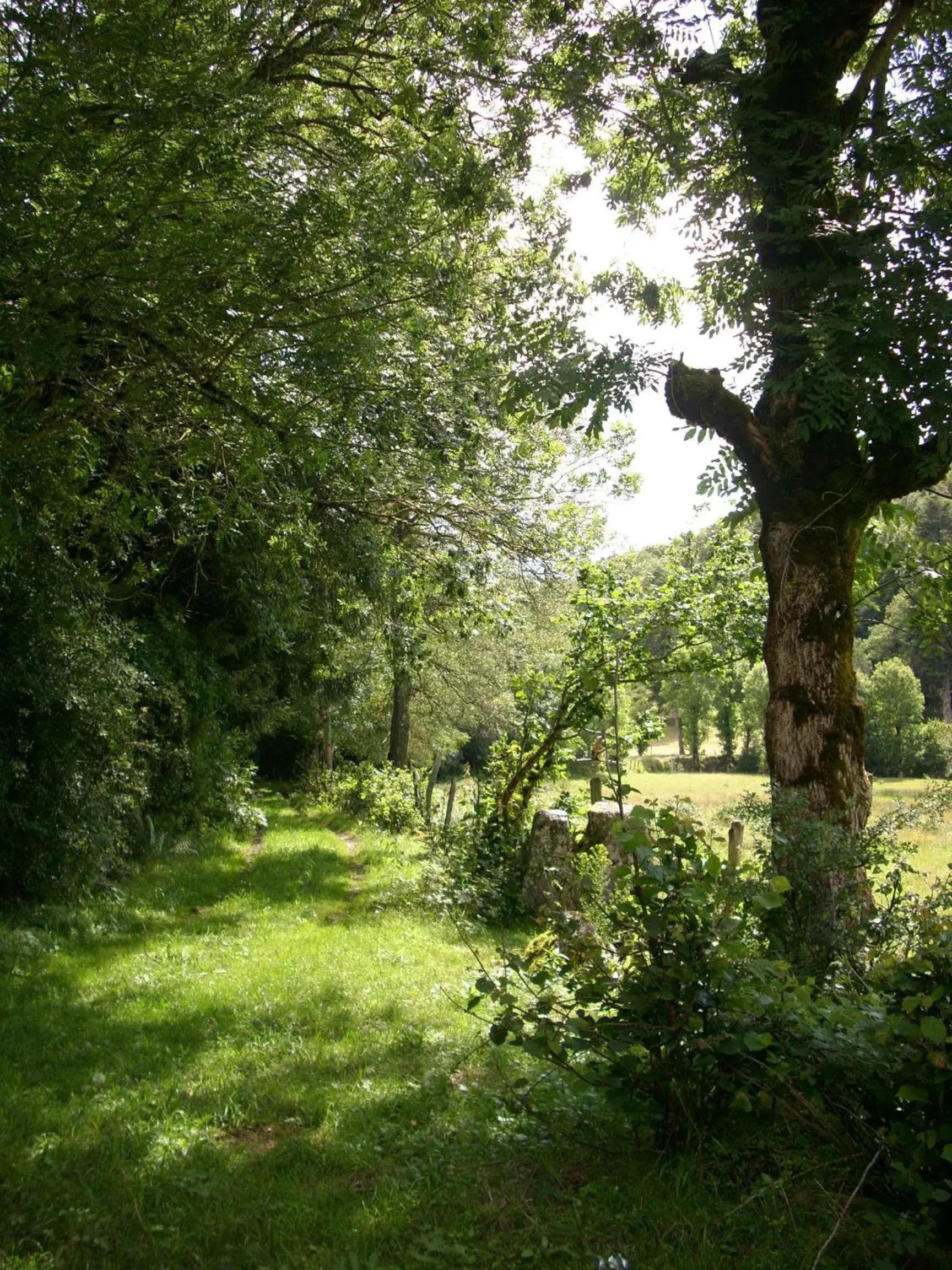 Day, Garden in Logis Hôtel Les Coudercous