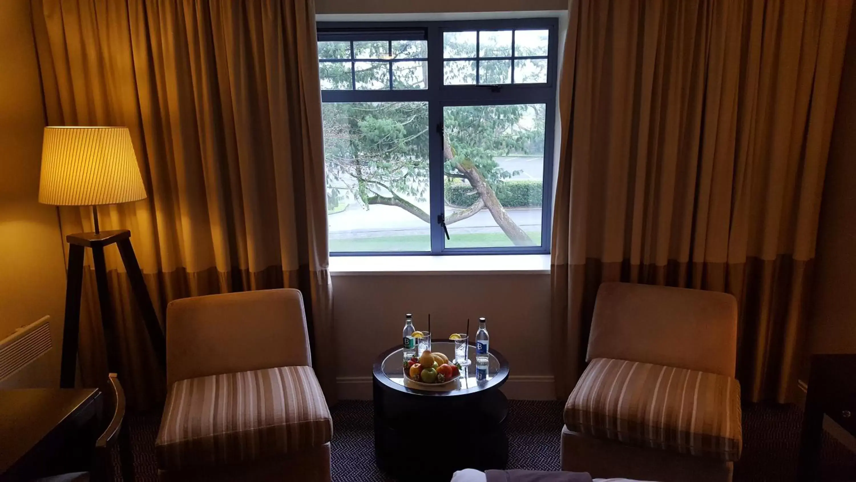 Garden, Seating Area in Shamrock Lodge Hotel