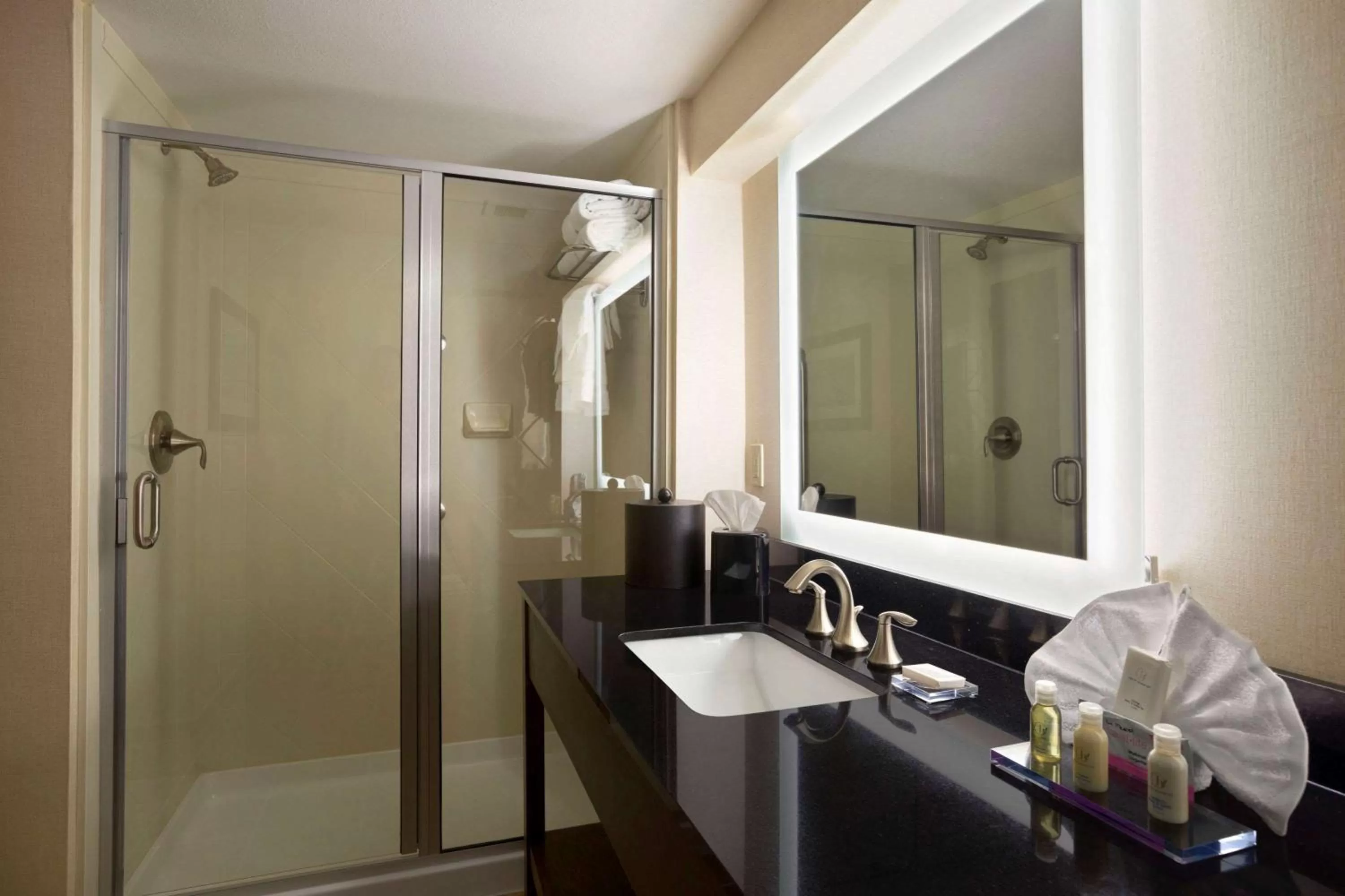 Bathroom in Wingate by Wyndham Seminole