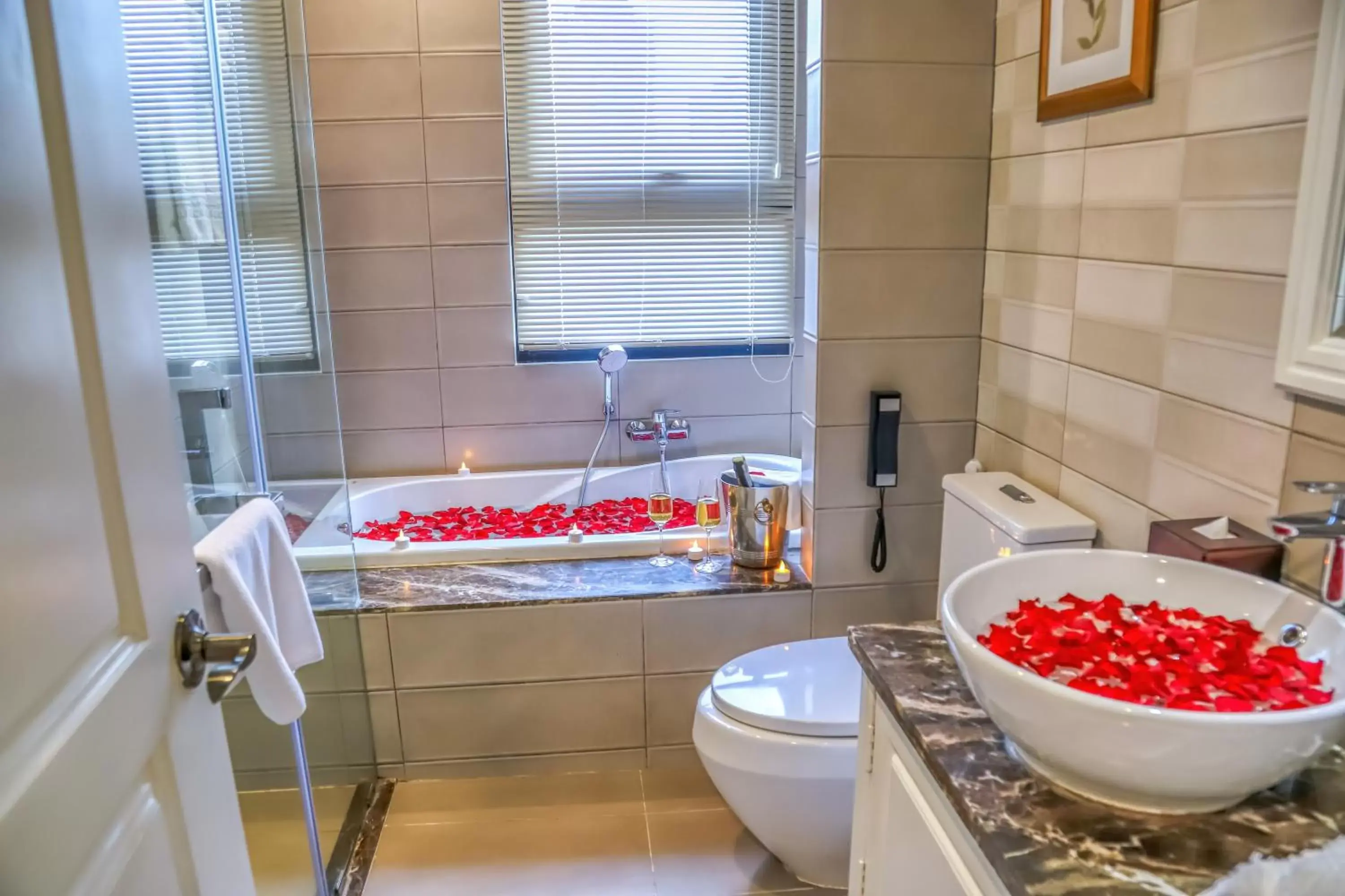 Bath, Bathroom in Anik Palace Hotel